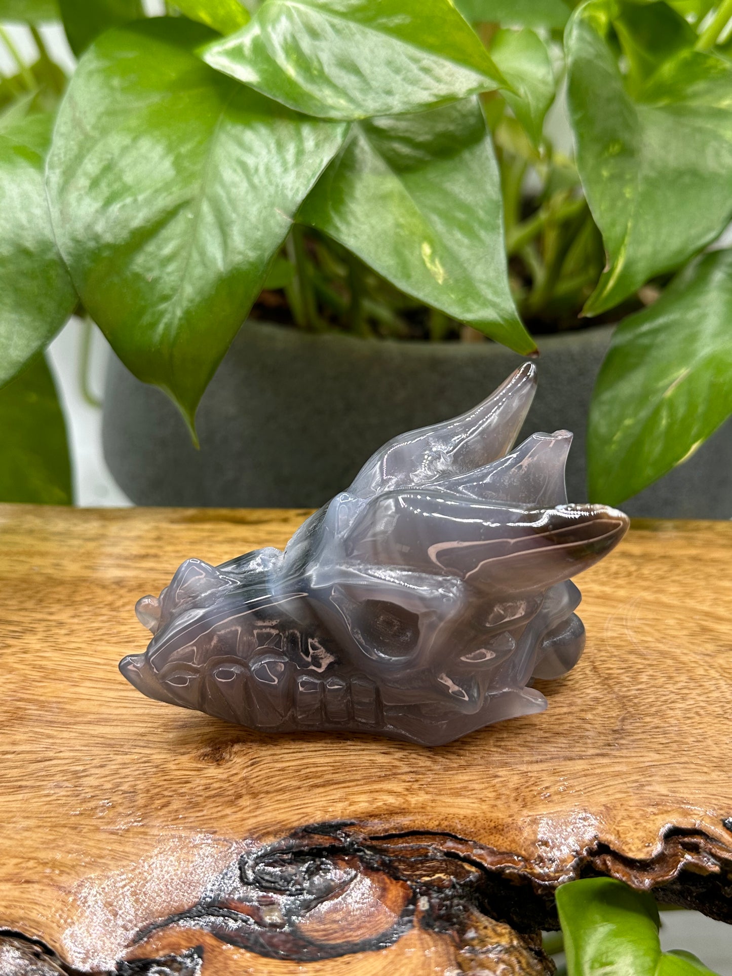 Crystal Bundle Dragons Realm