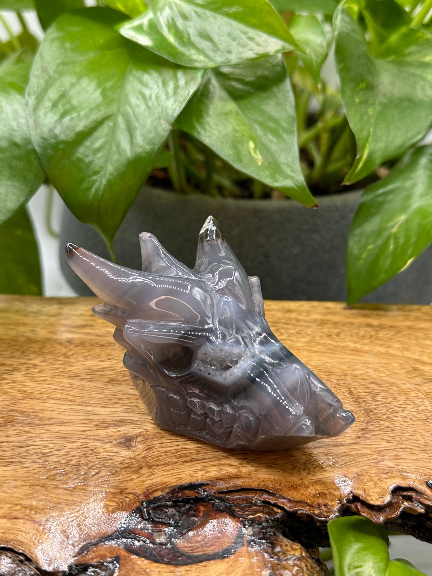 Crystal Bundle Dragons Realm