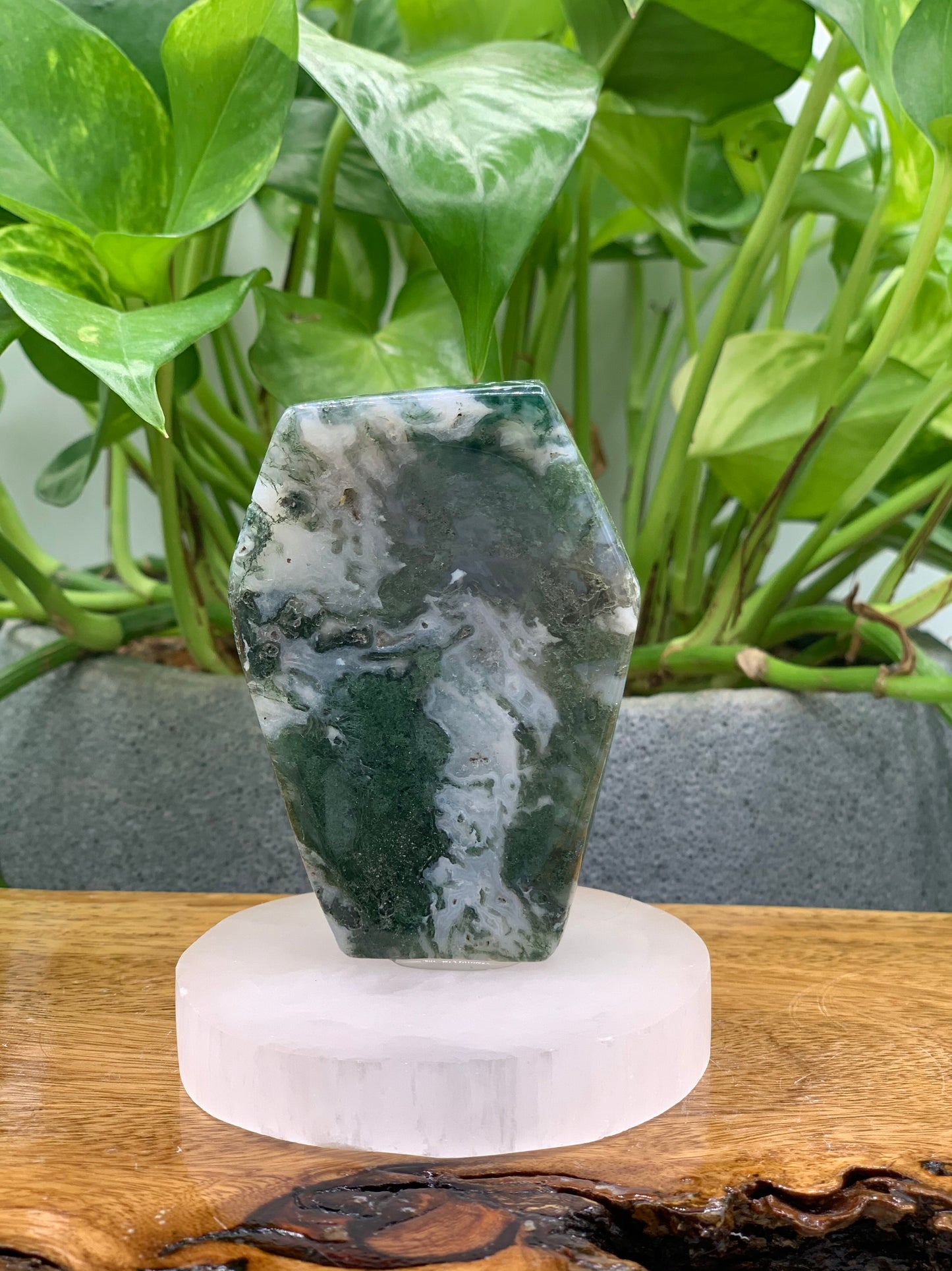 Moss Agate Coffin