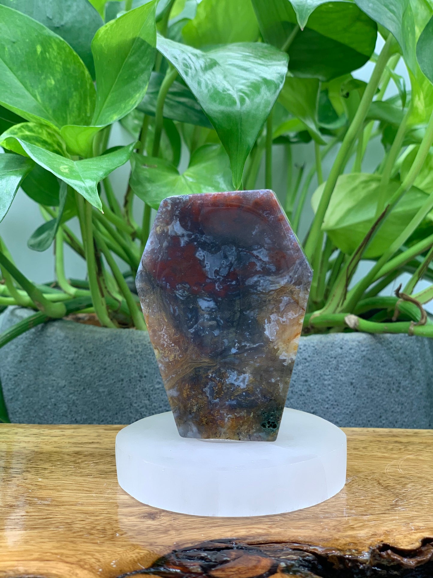 Moss Agate Coffin