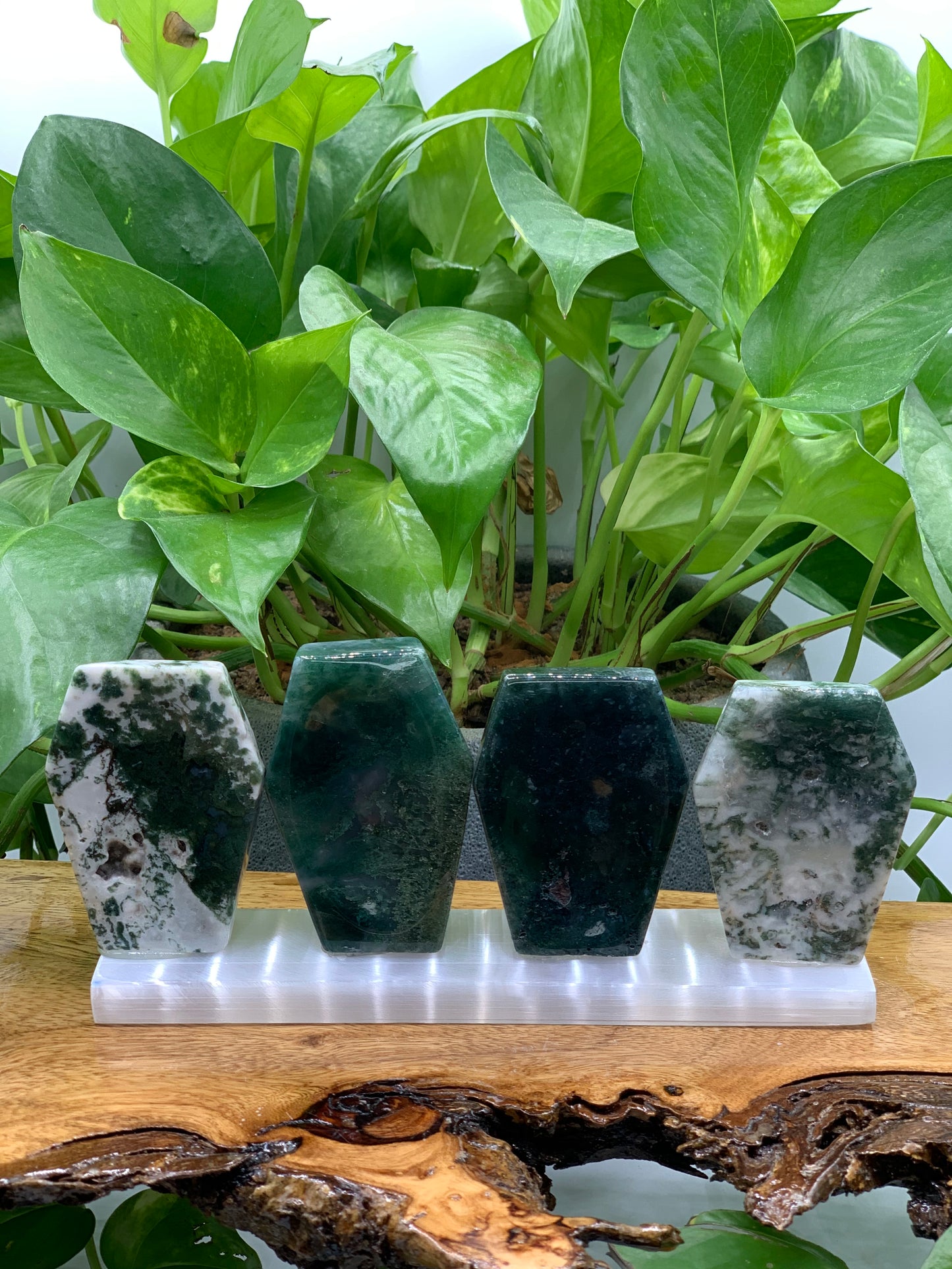 Moss Agate Coffin