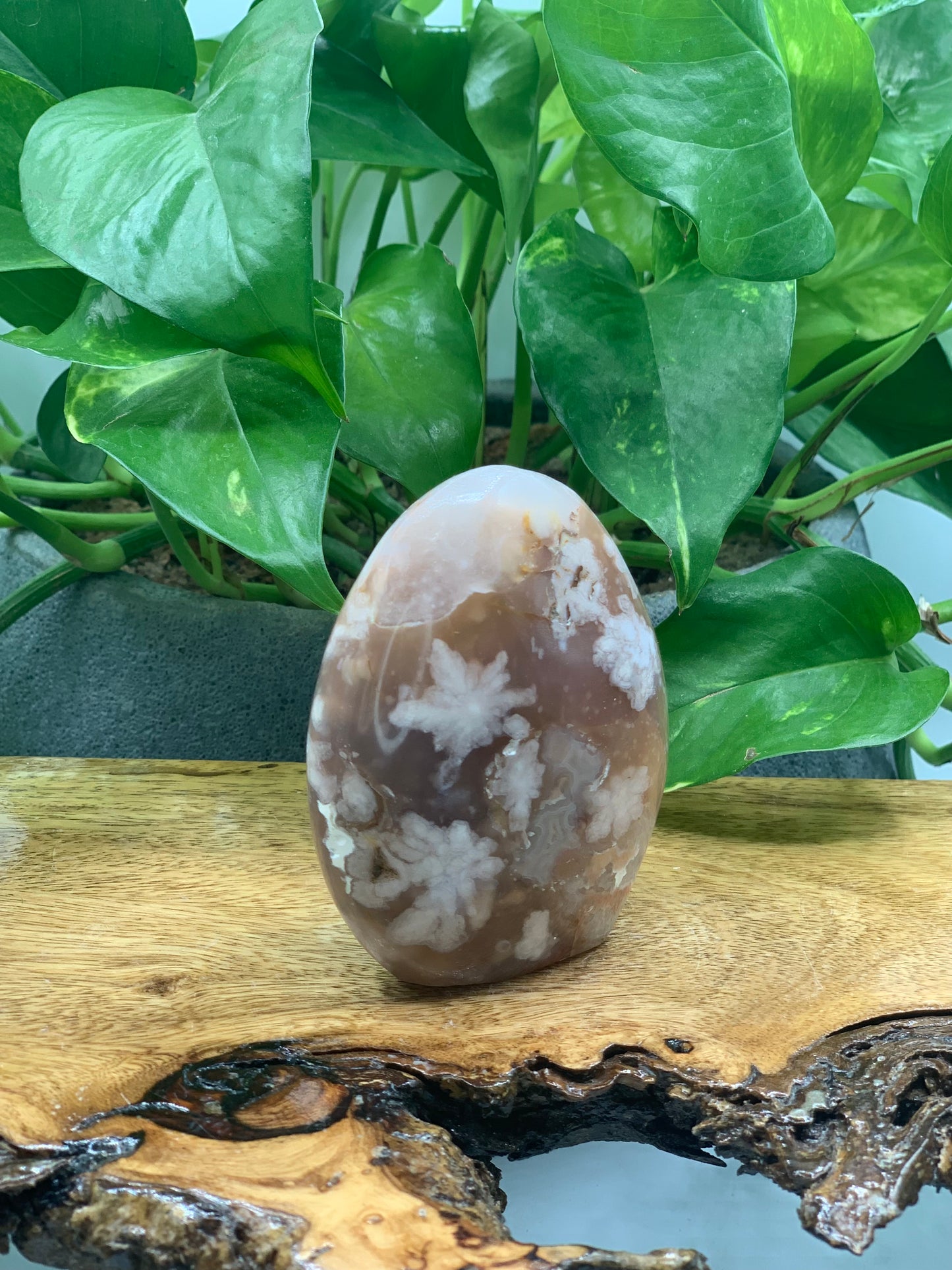 Flower Agate Free Form