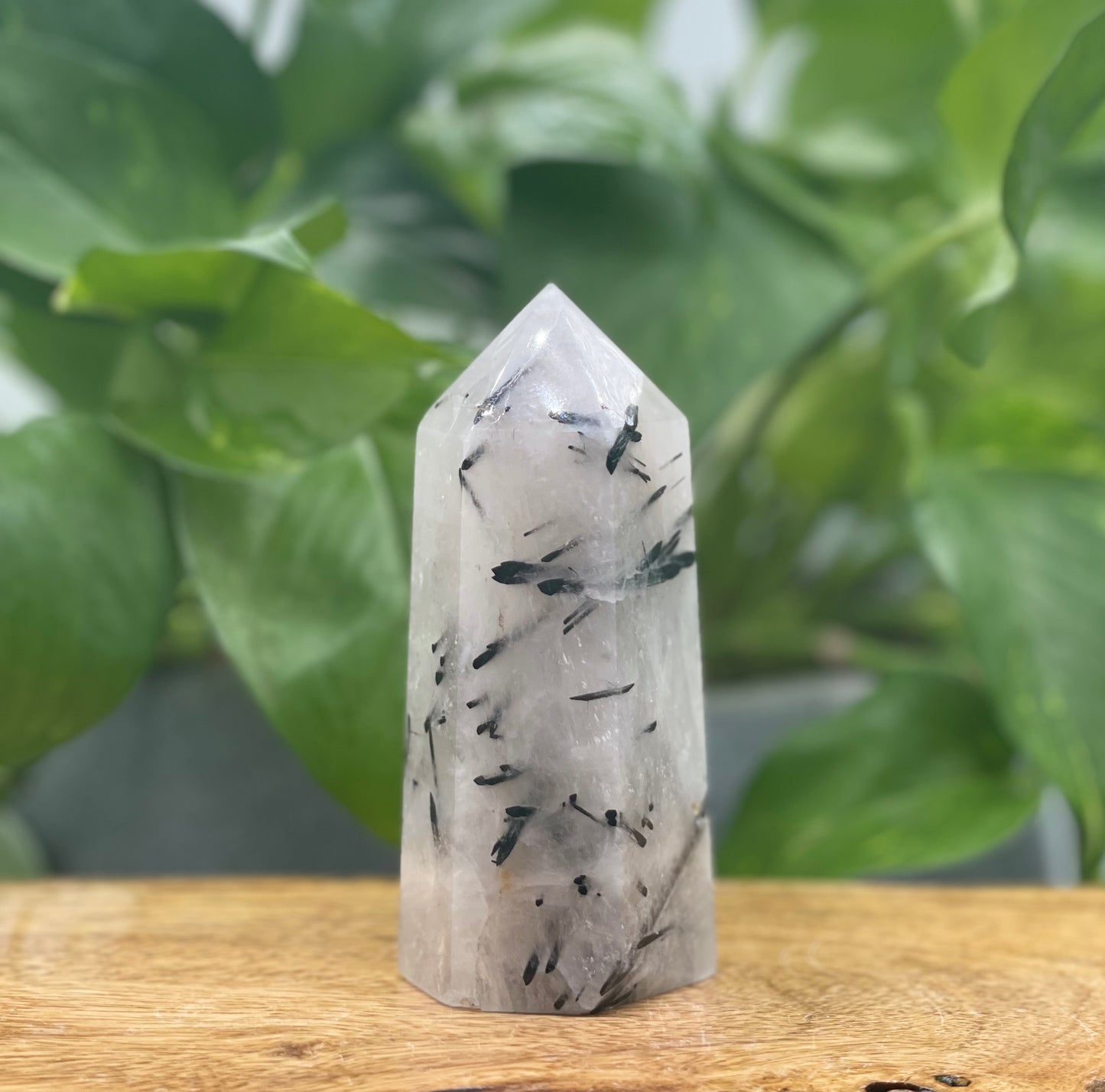 Quartz with Tourmaline Towers - Large