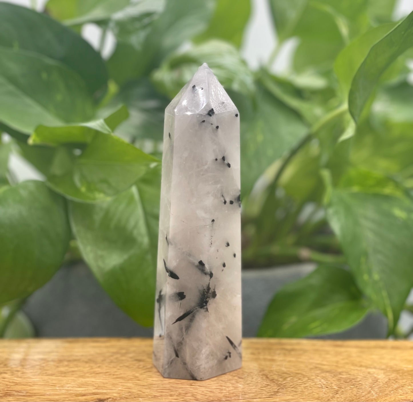Quartz with Tourmaline Towers - Large
