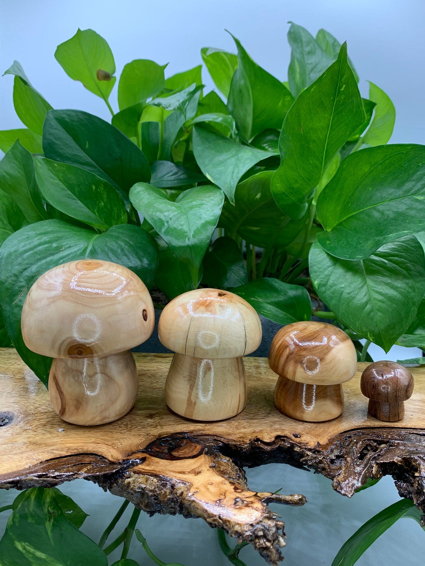Handcrafted Wooden Mushroom - D
