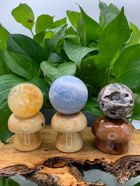 Wooden Mushroom Sphere Stand