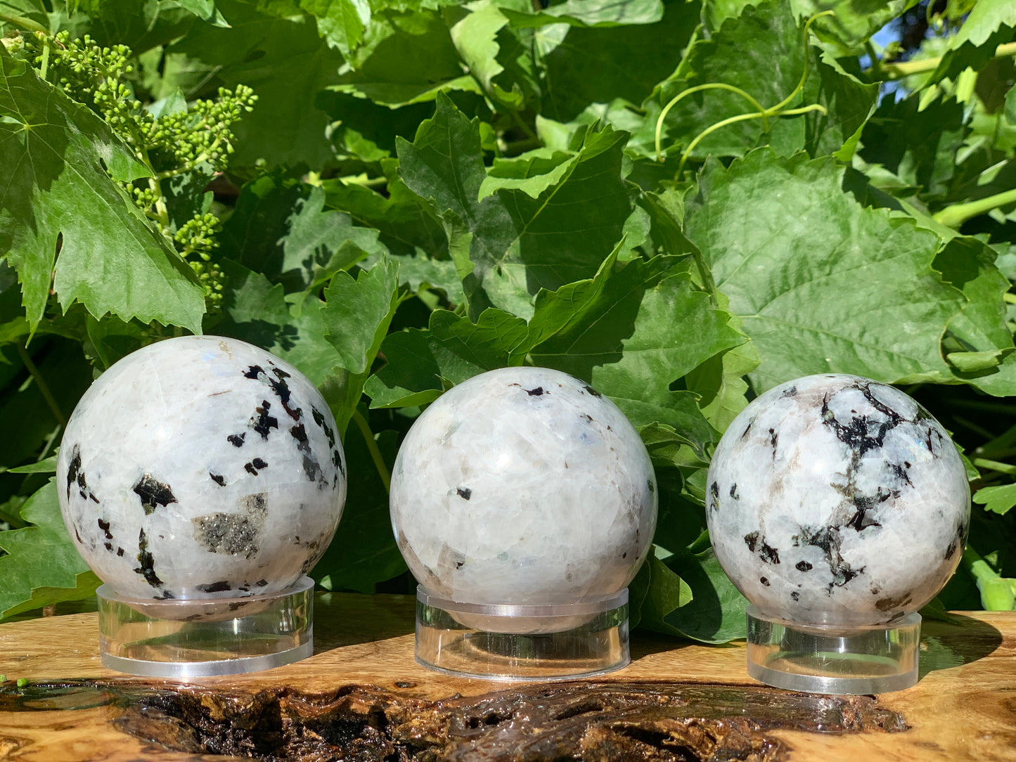 Rainbow Moonstone Sphere