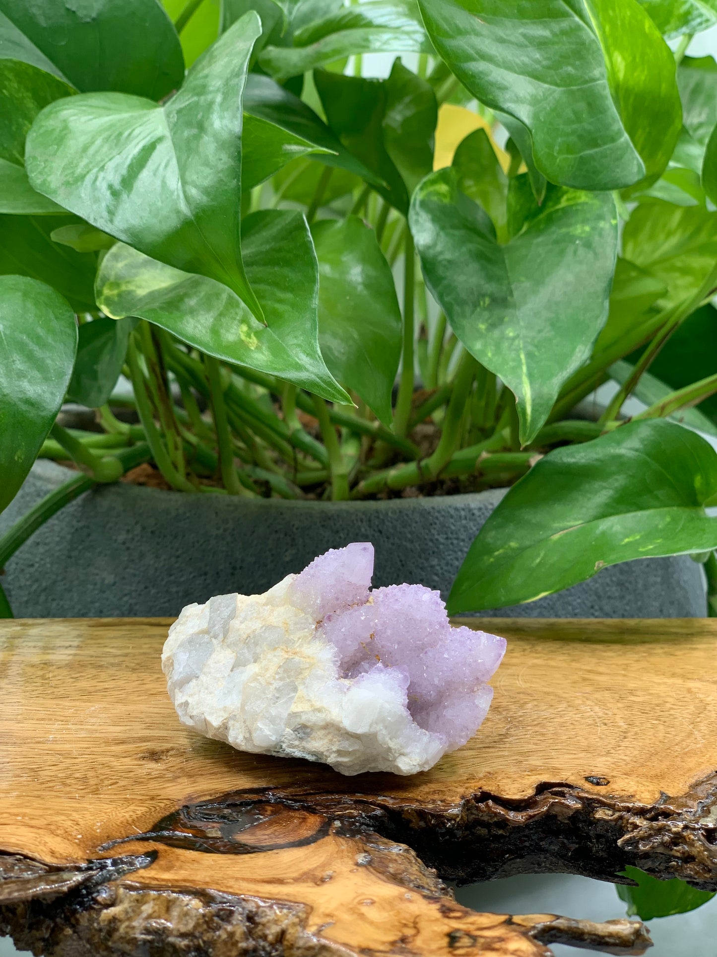 Spirit Quartz Cluster
