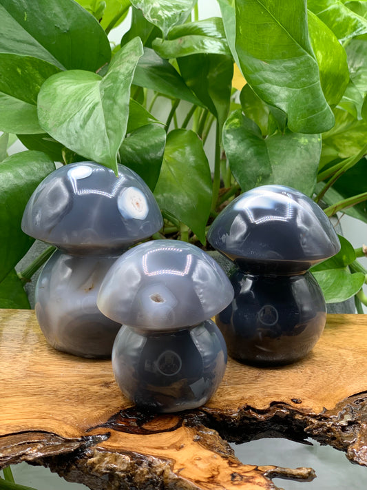 Orca Agate Mushroom