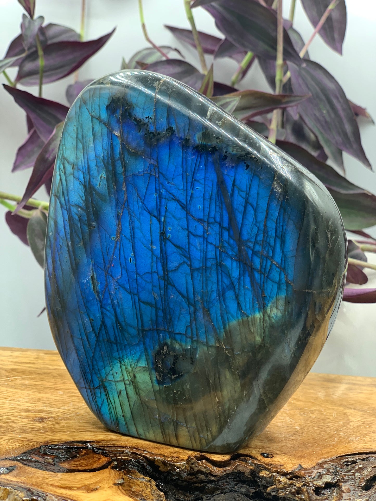 Labradorite Blue Flash