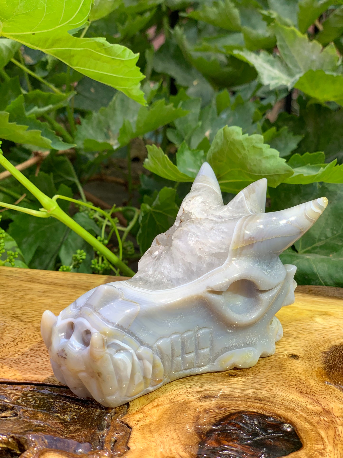 Dragon Carving Agate