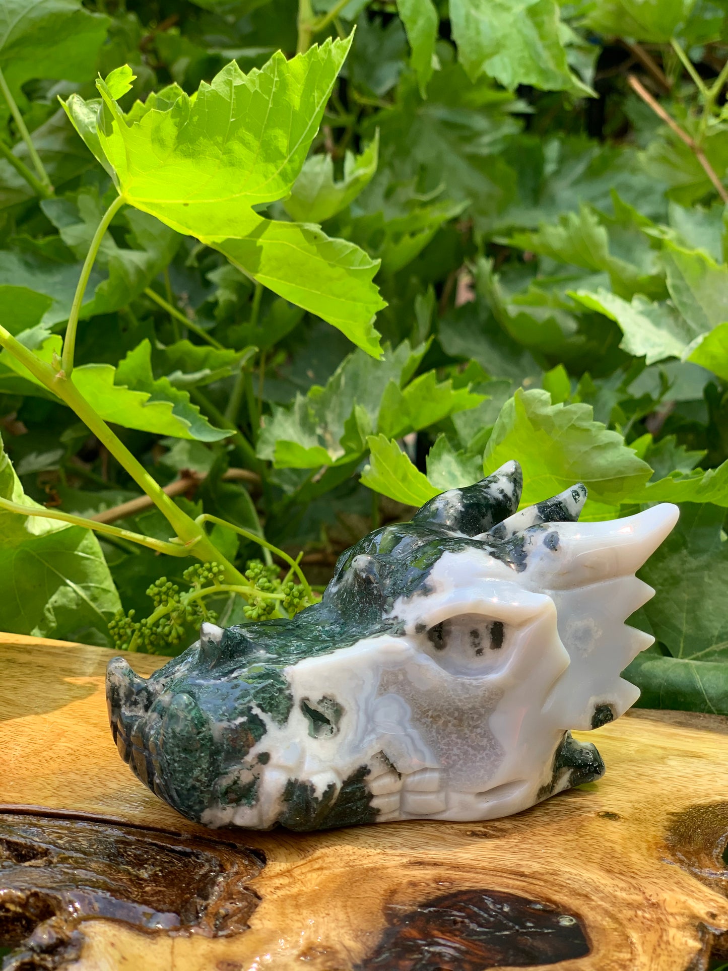 Dragon Carving Agate