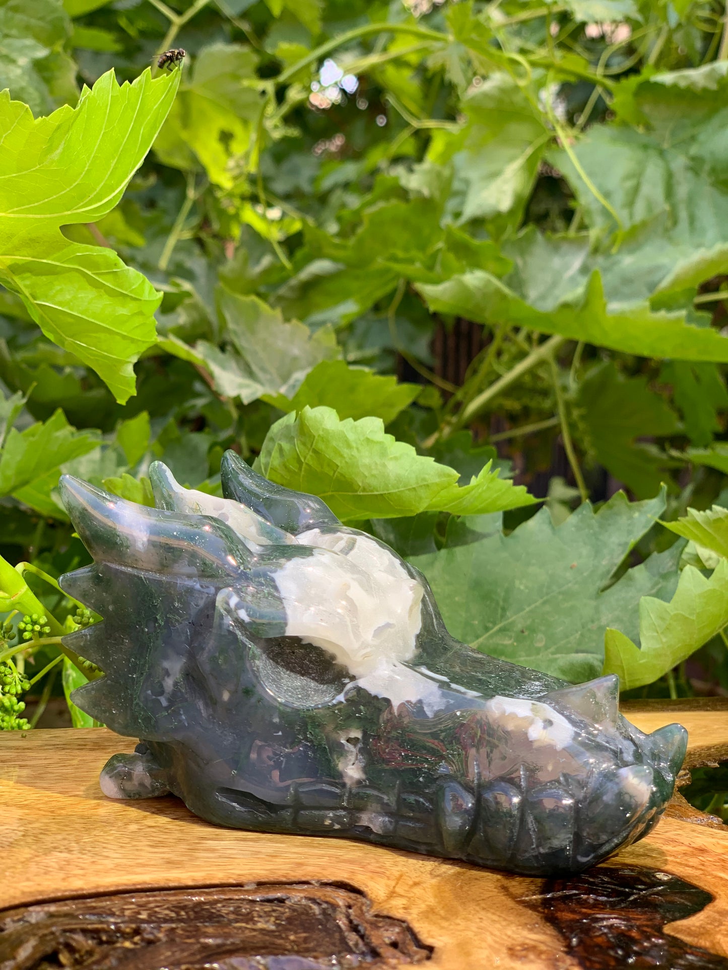 Dragon Carving Agate