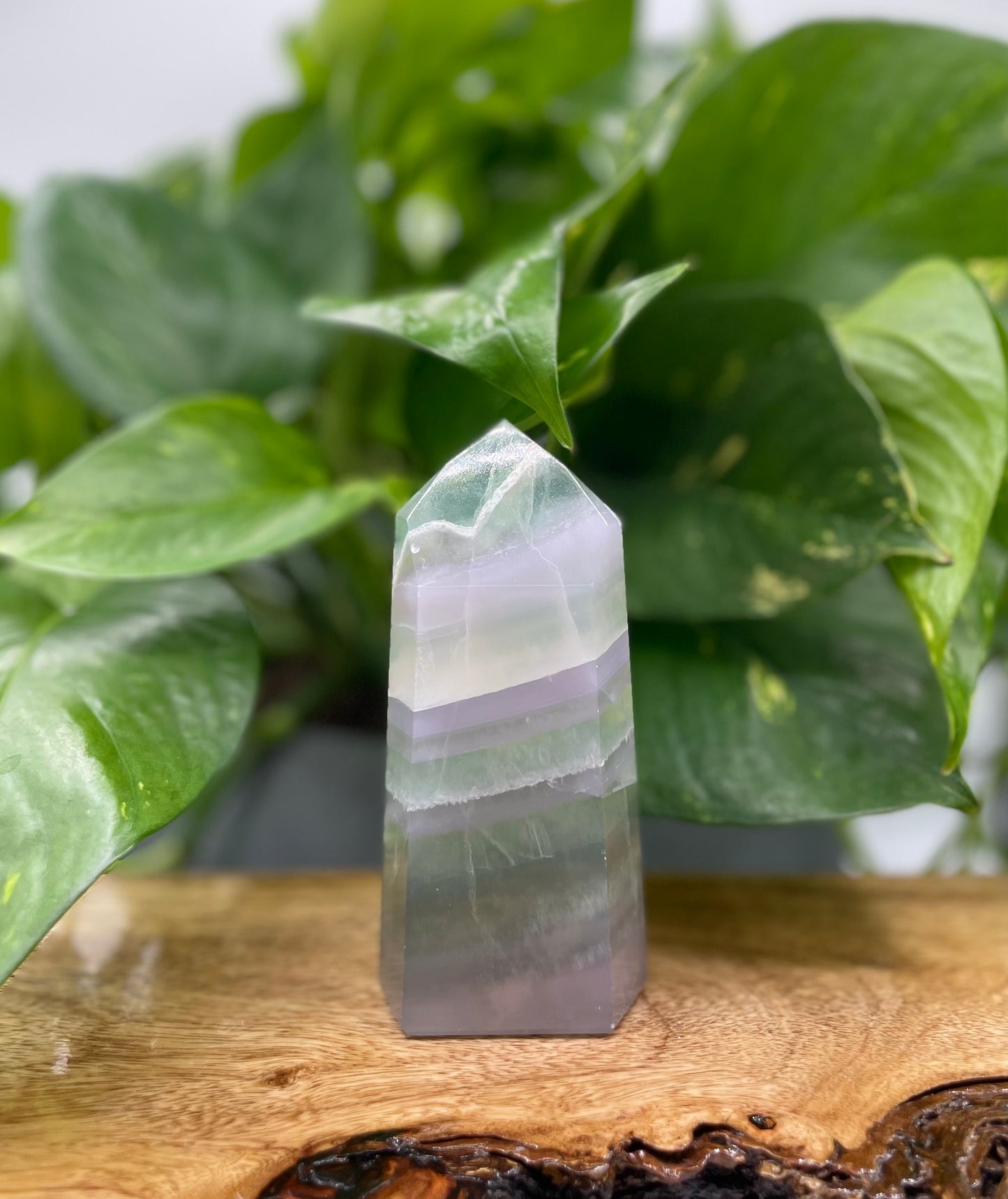 Fluorite Tower - Light