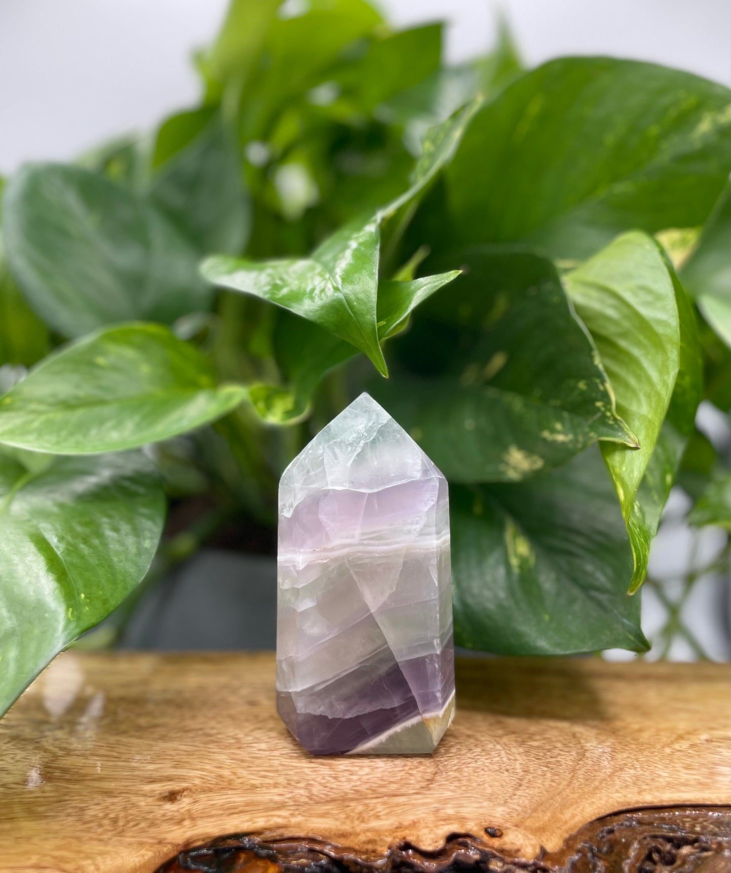 Fluorite Tower - Light