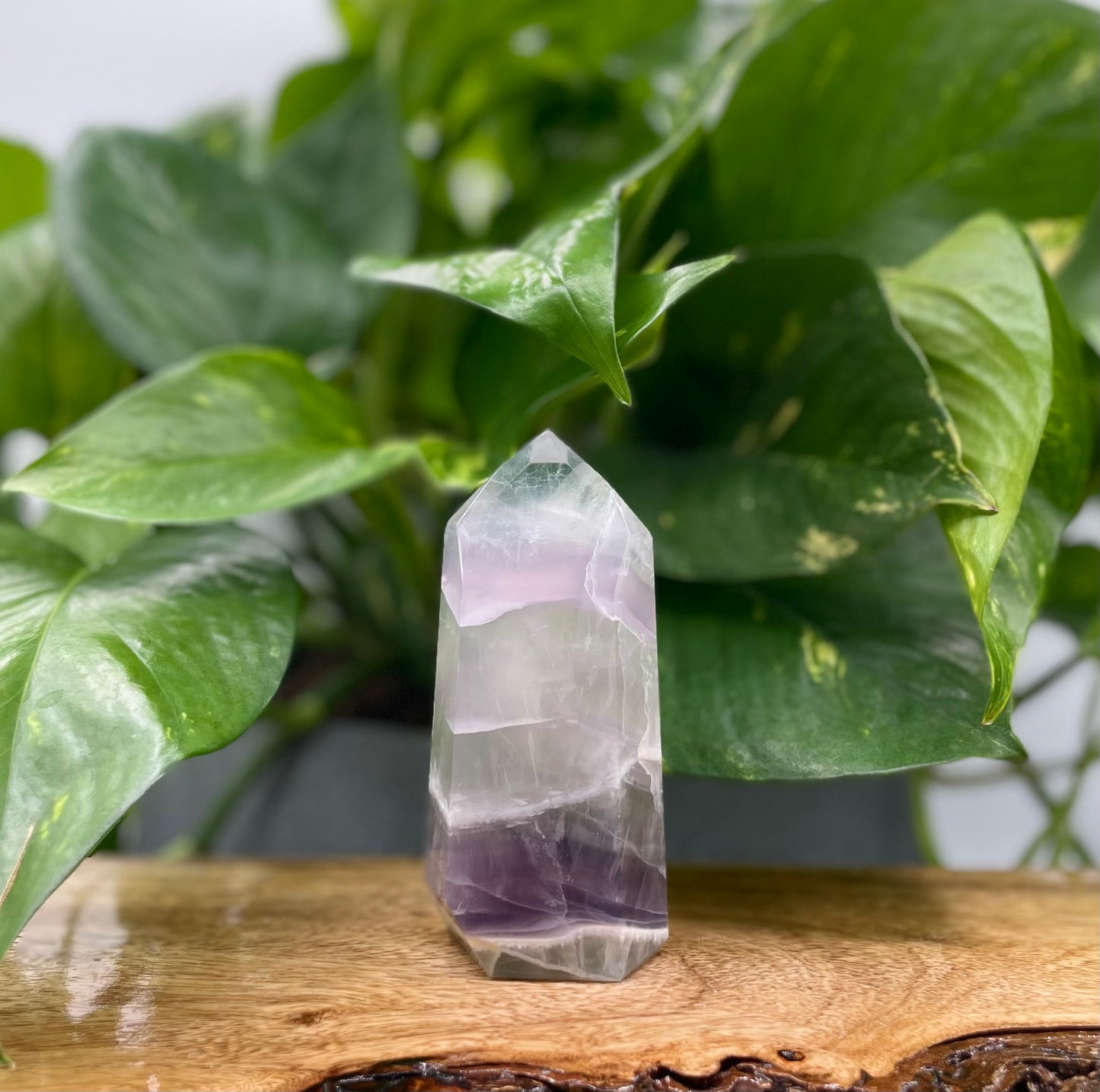 Fluorite Tower - Light