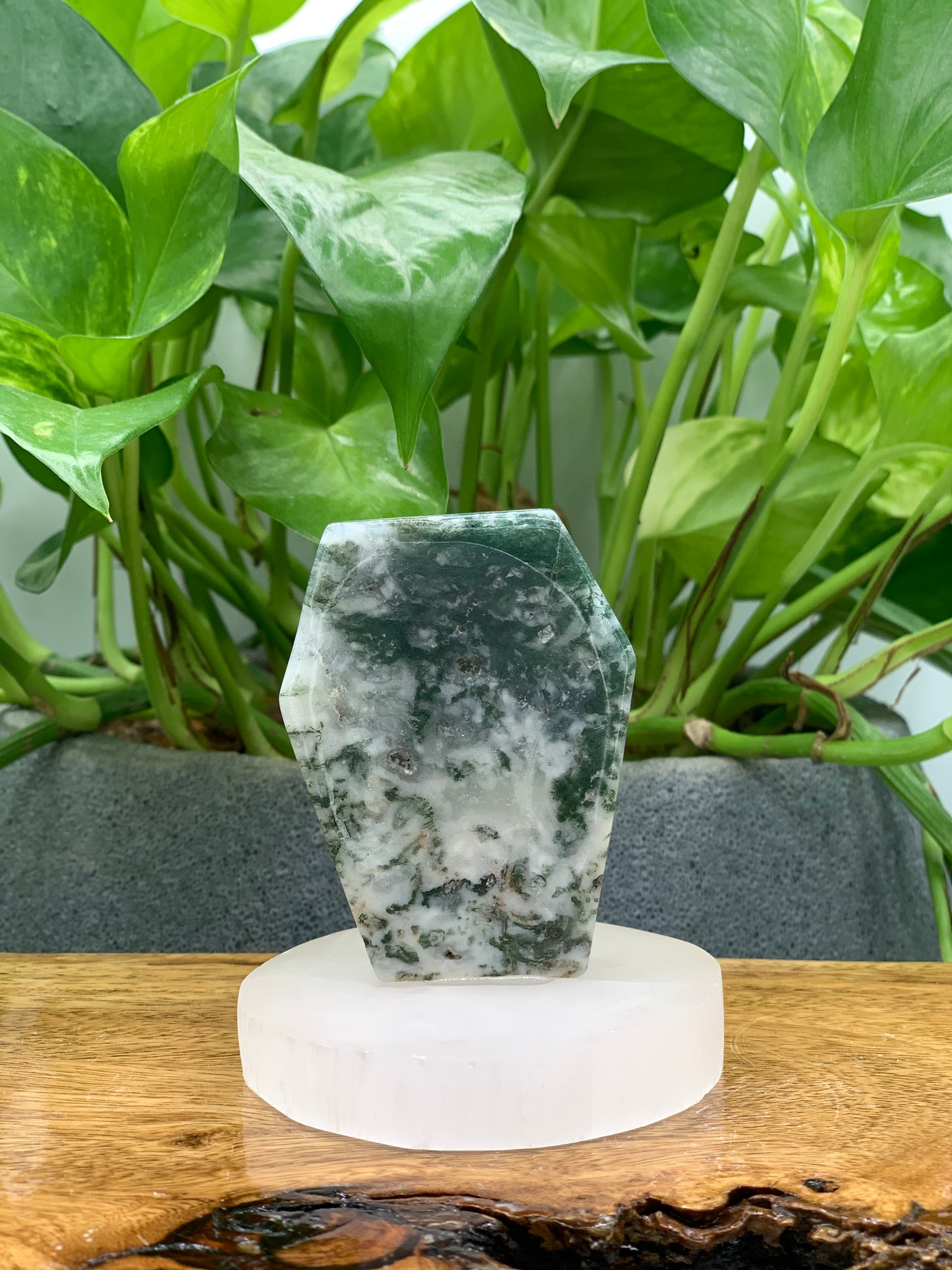 Moss Agate Coffin