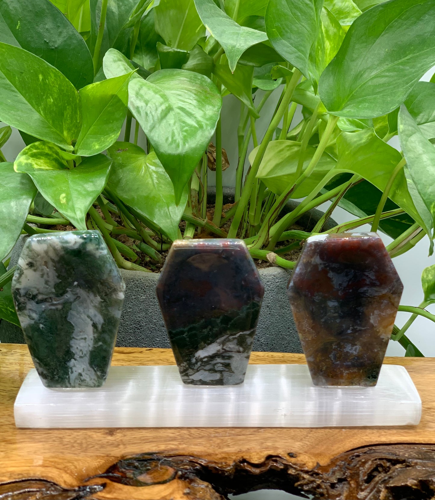Moss Agate Coffin