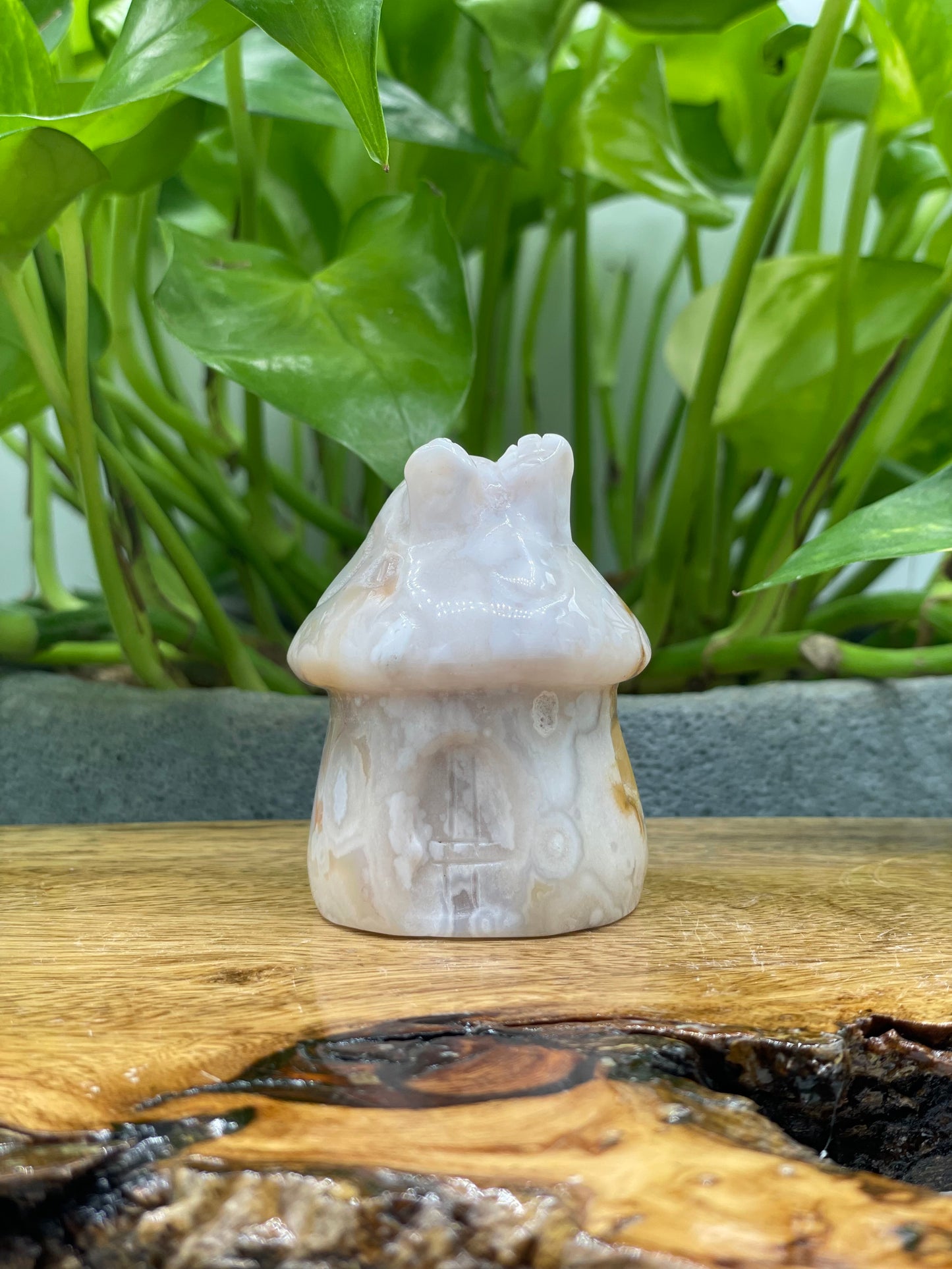 Flower Agate Mushroom House