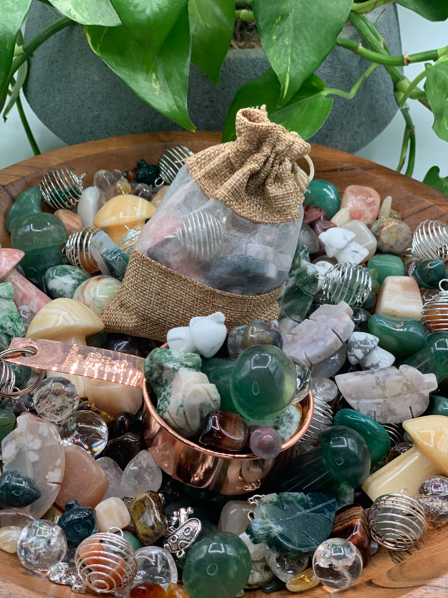 Crystal Confetti Mushroom Garden