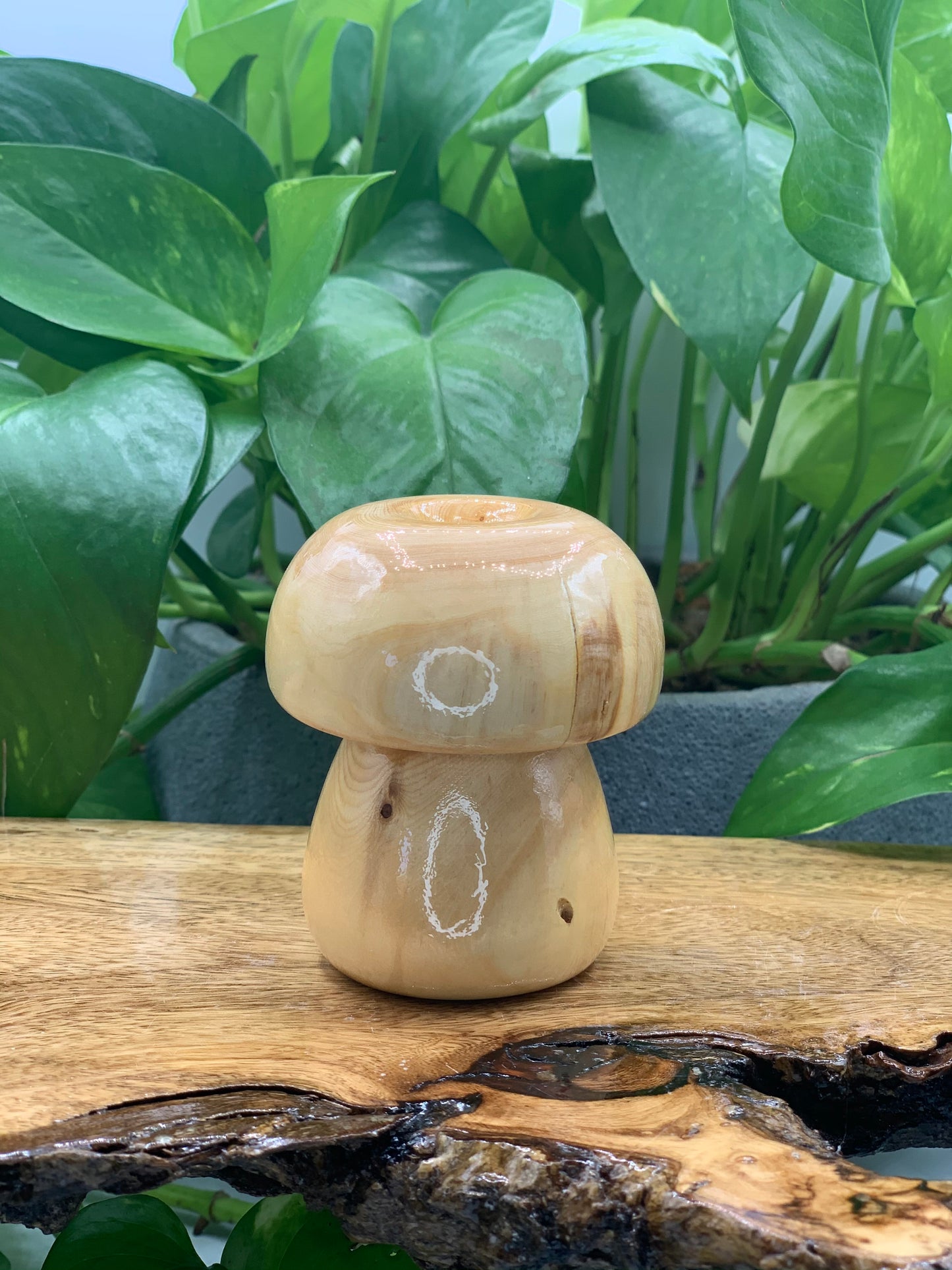 Wooden Mushroom Sphere Stand