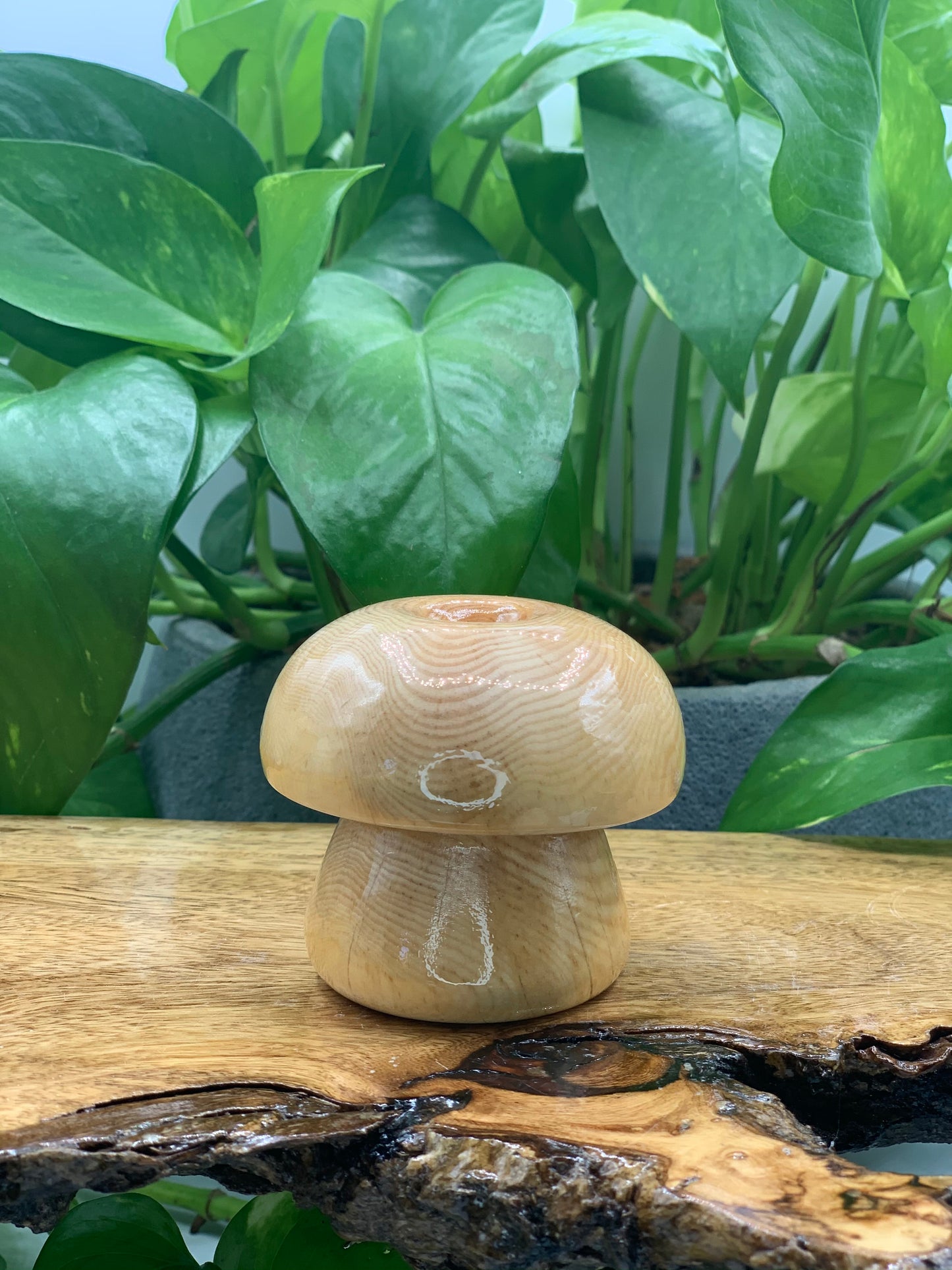 Wooden Mushroom Sphere Stand