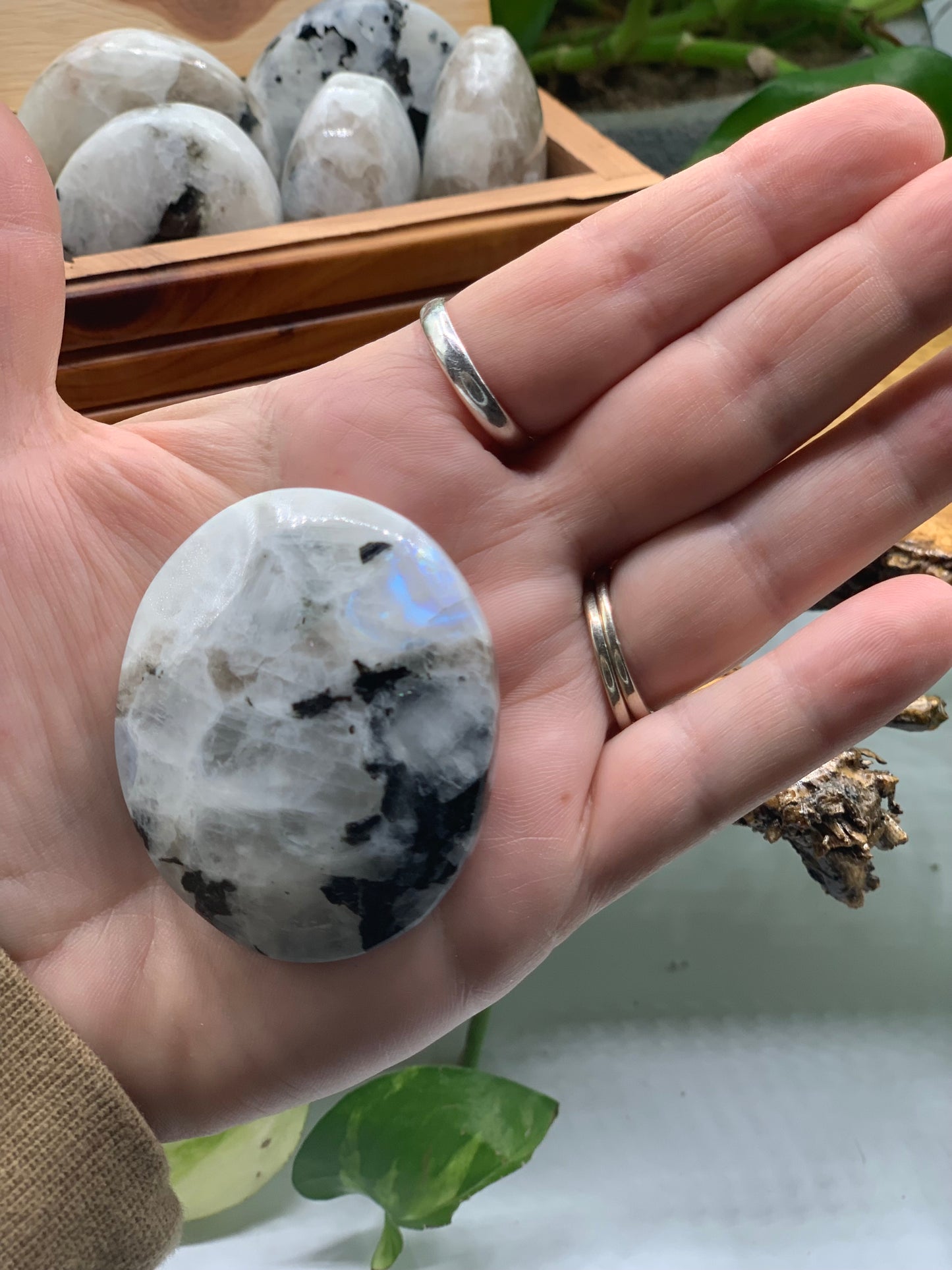 Rainbow Moonstone Palm Stone