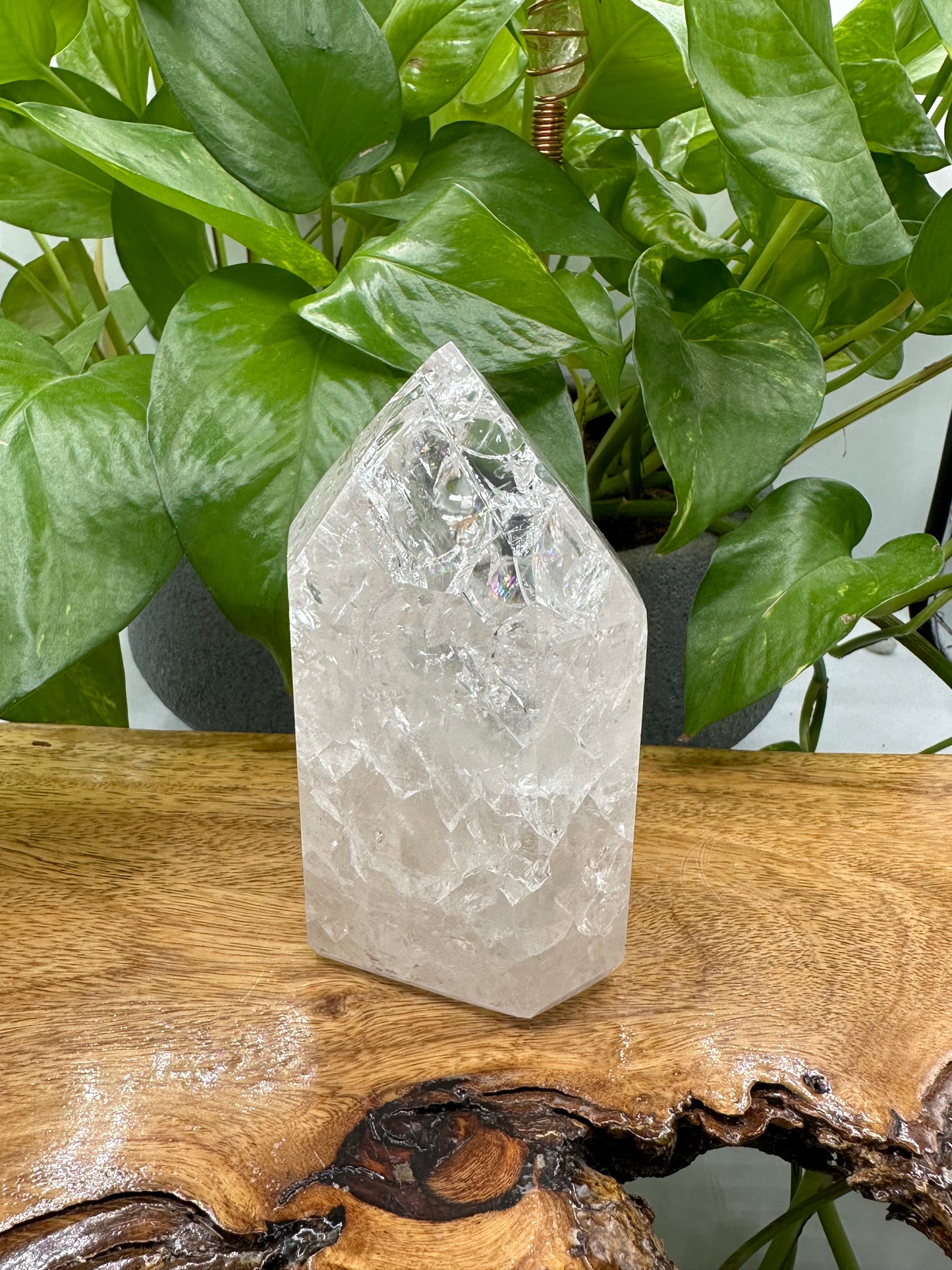 Crystal Bundle Forbidden Apple