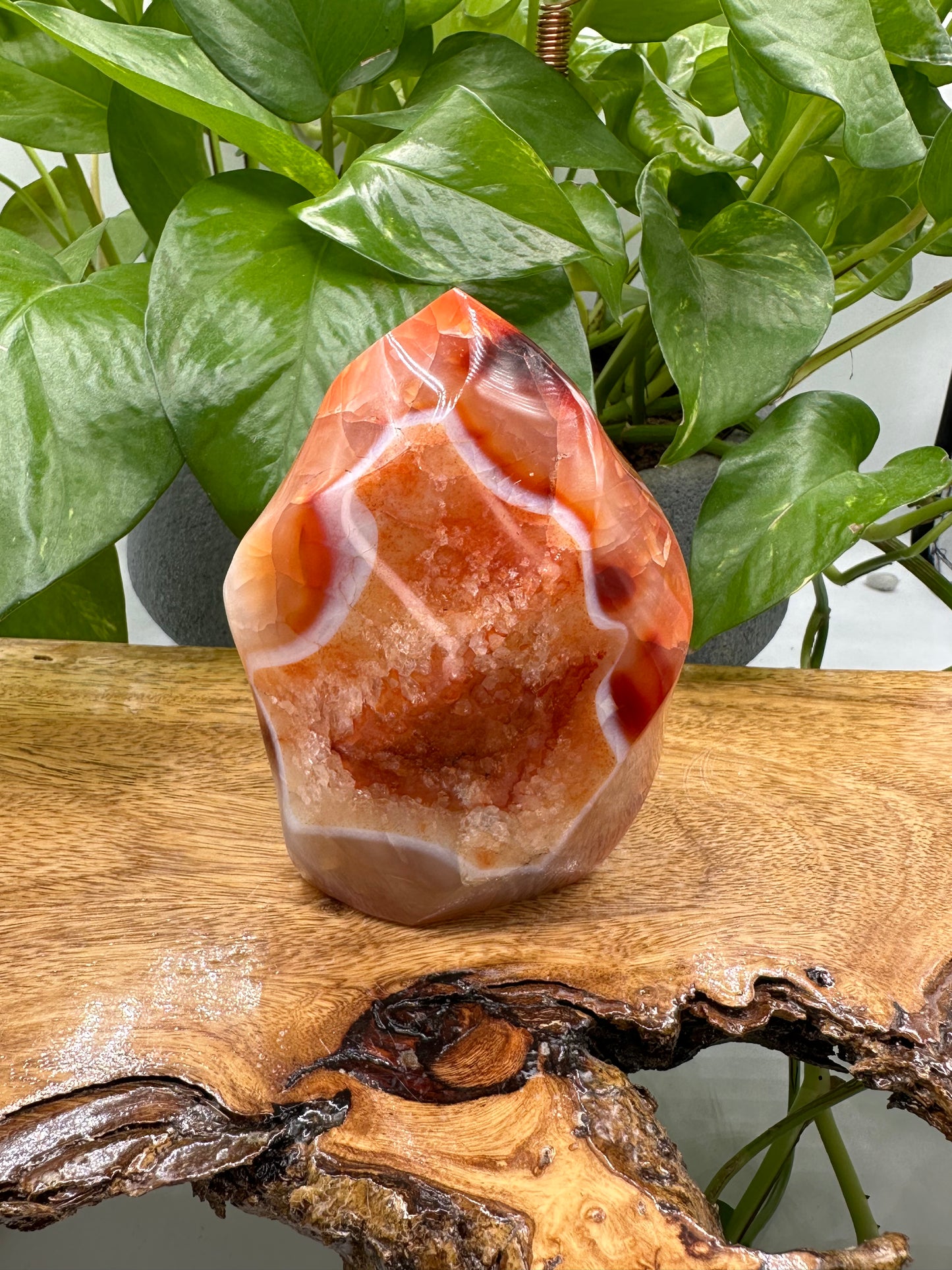 Crystal Bundle Forbidden Apple