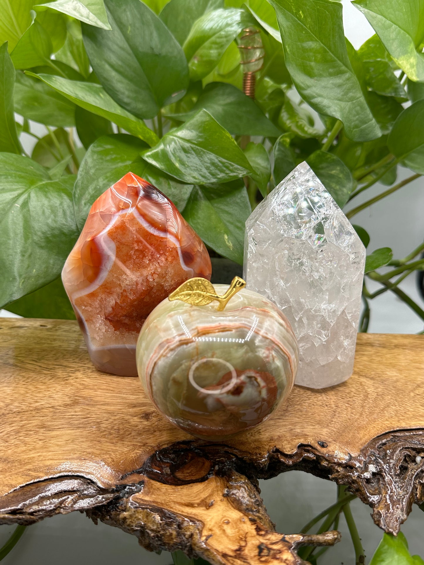 Crystal Bundle Forbidden Apple