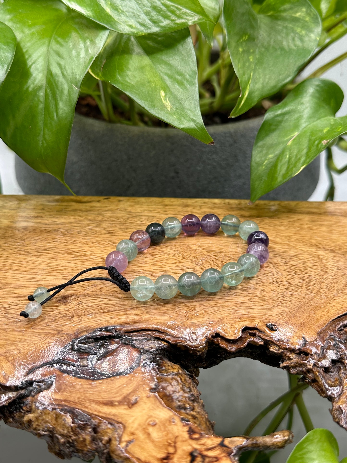 Crystal Bundle Fluorite Favorites