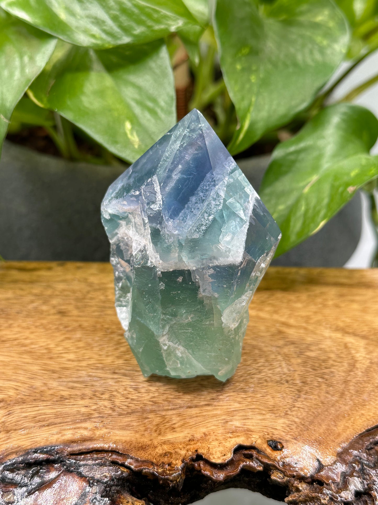 Crystal Bundle Fluorite Favorites