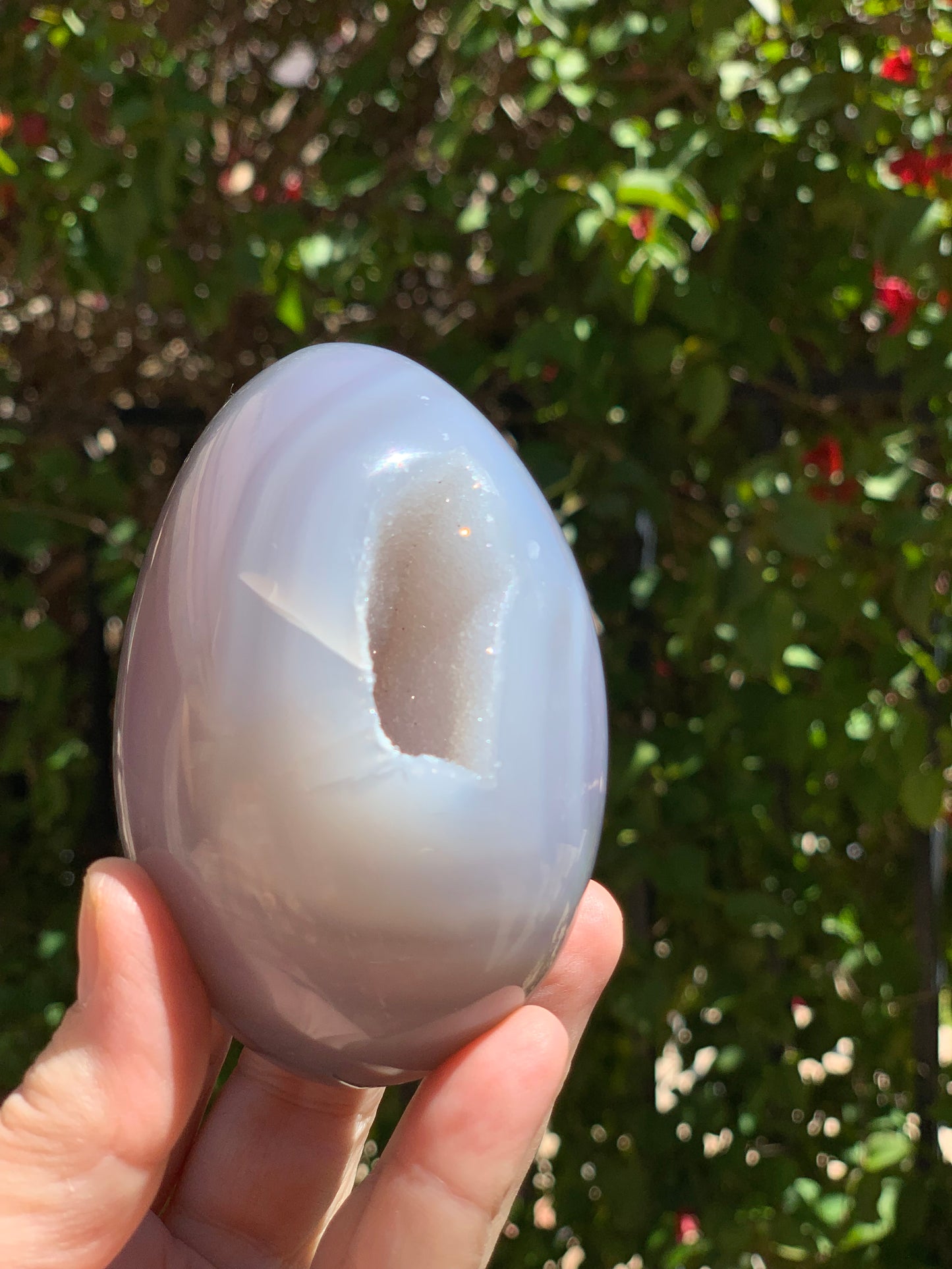 Agate Druzy Egg