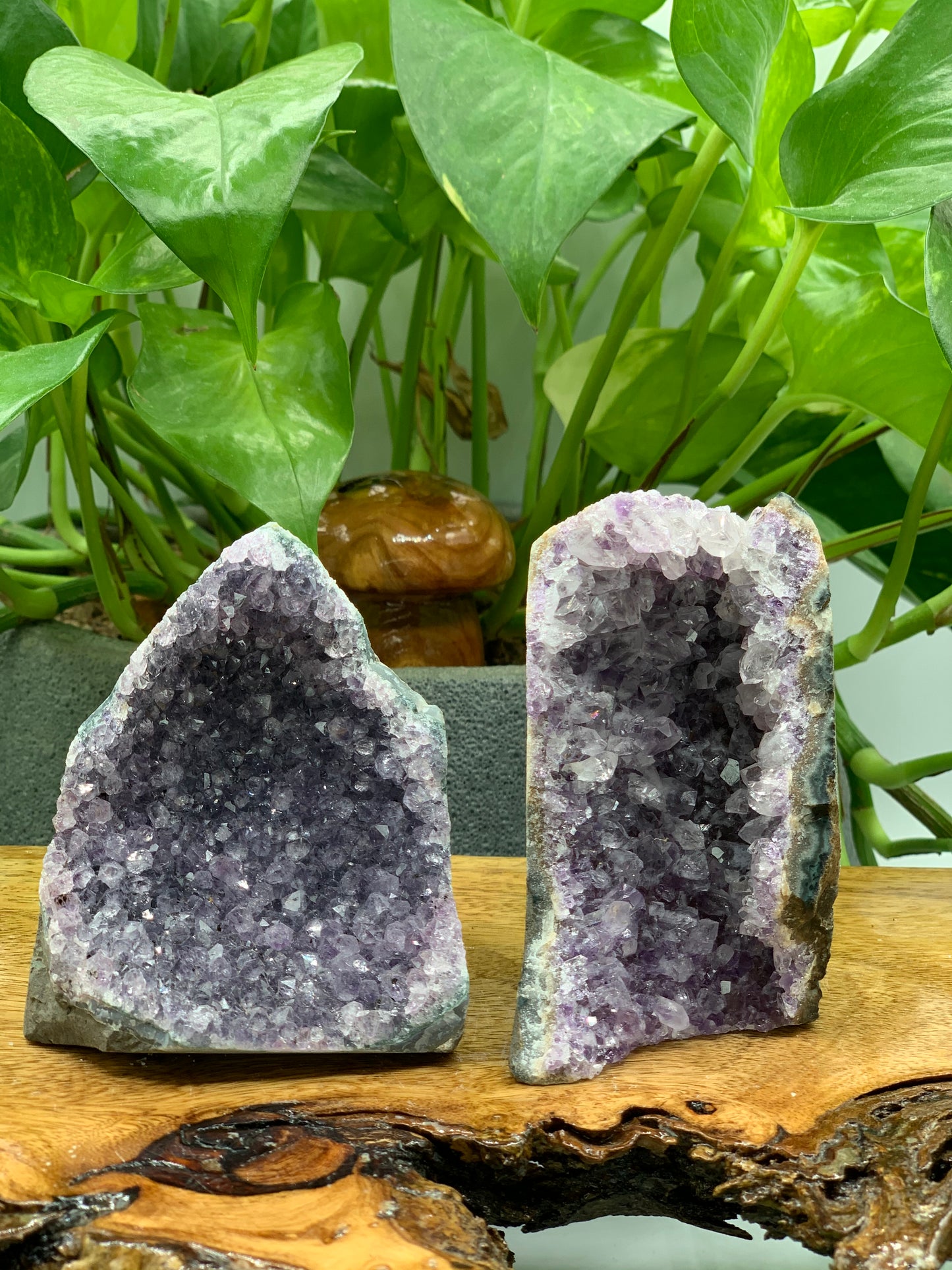 Amethyst Cut Base - Mystery Pick