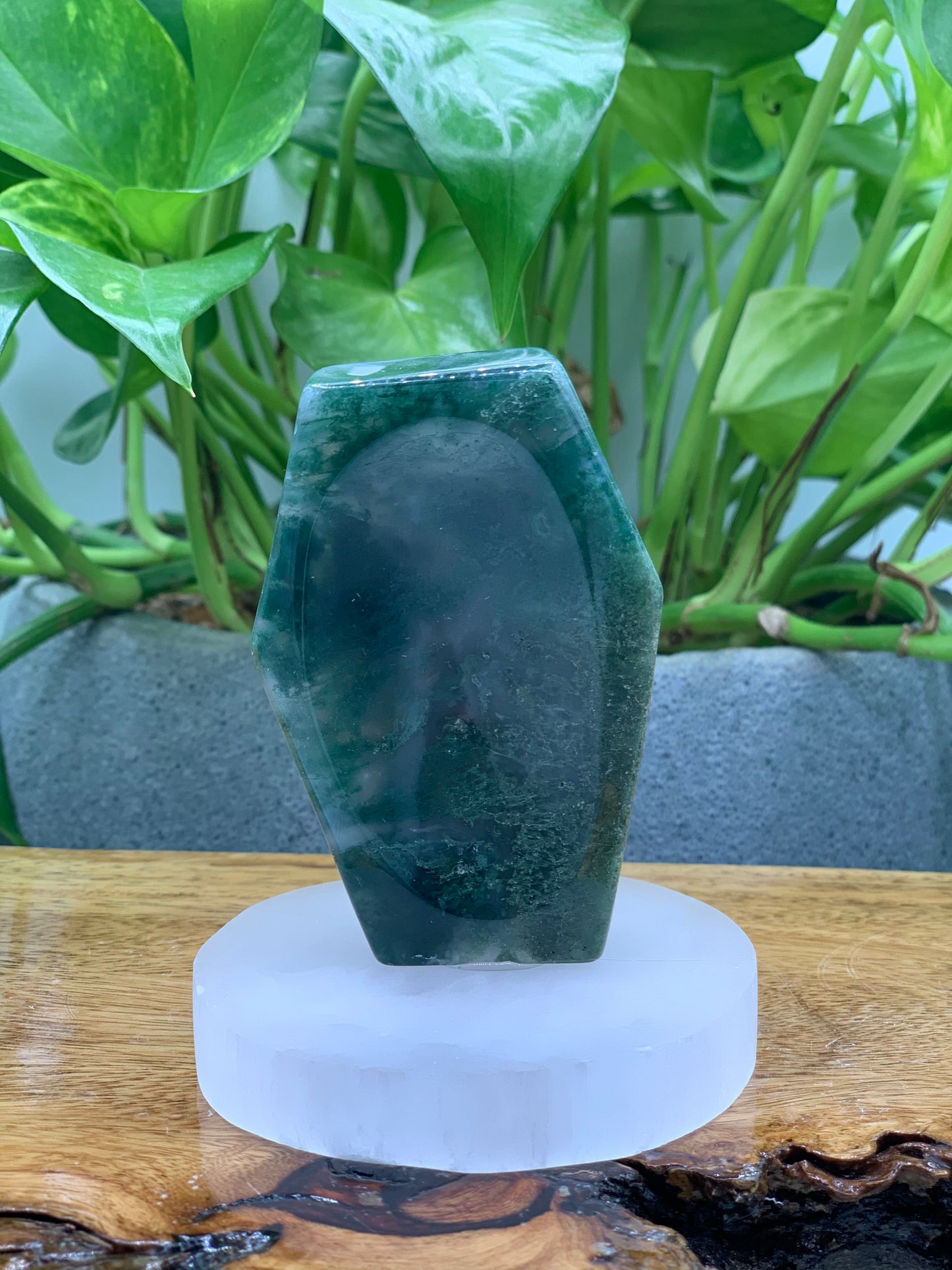 Moss Agate Coffin