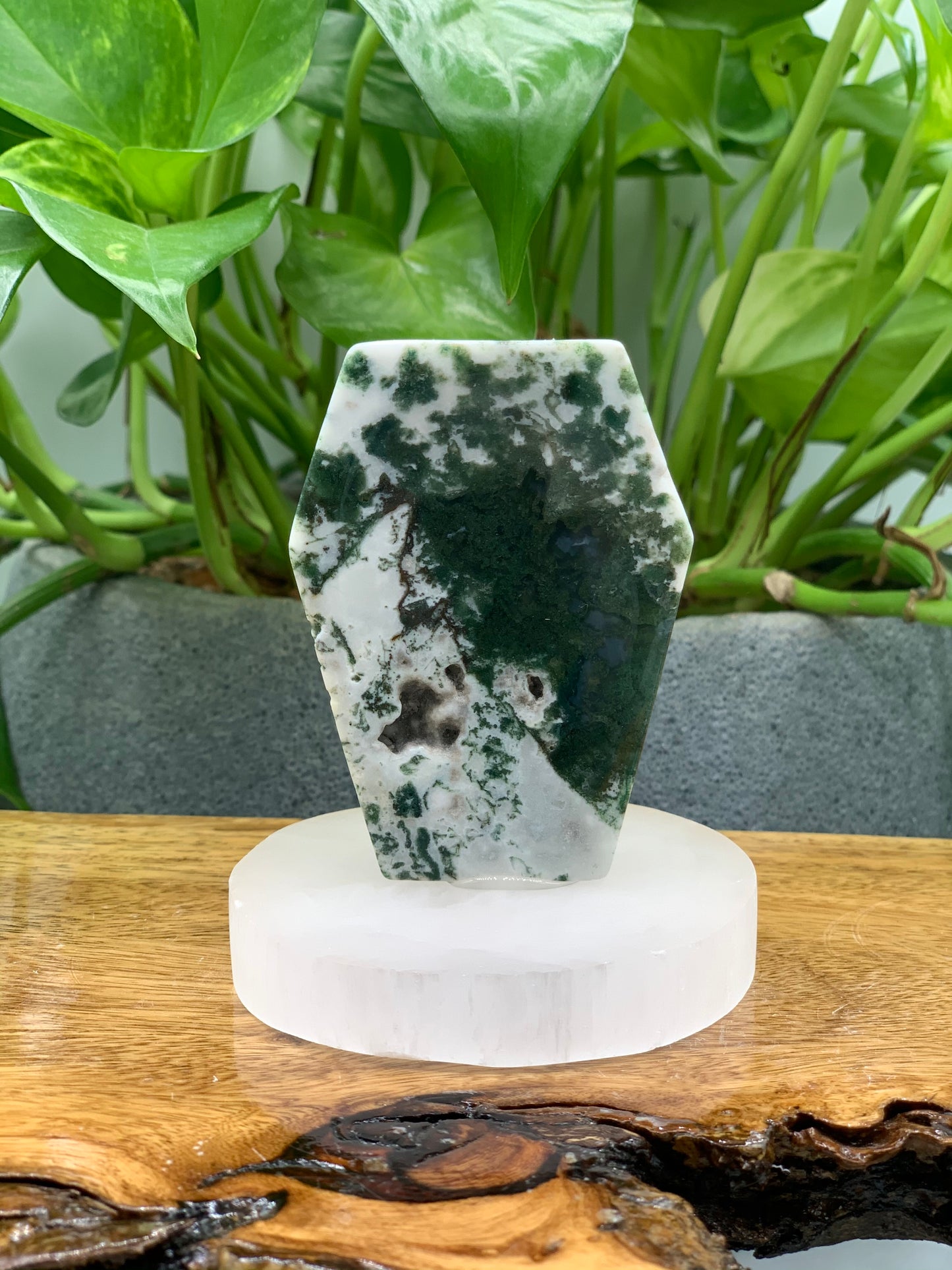 Moss Agate Coffin