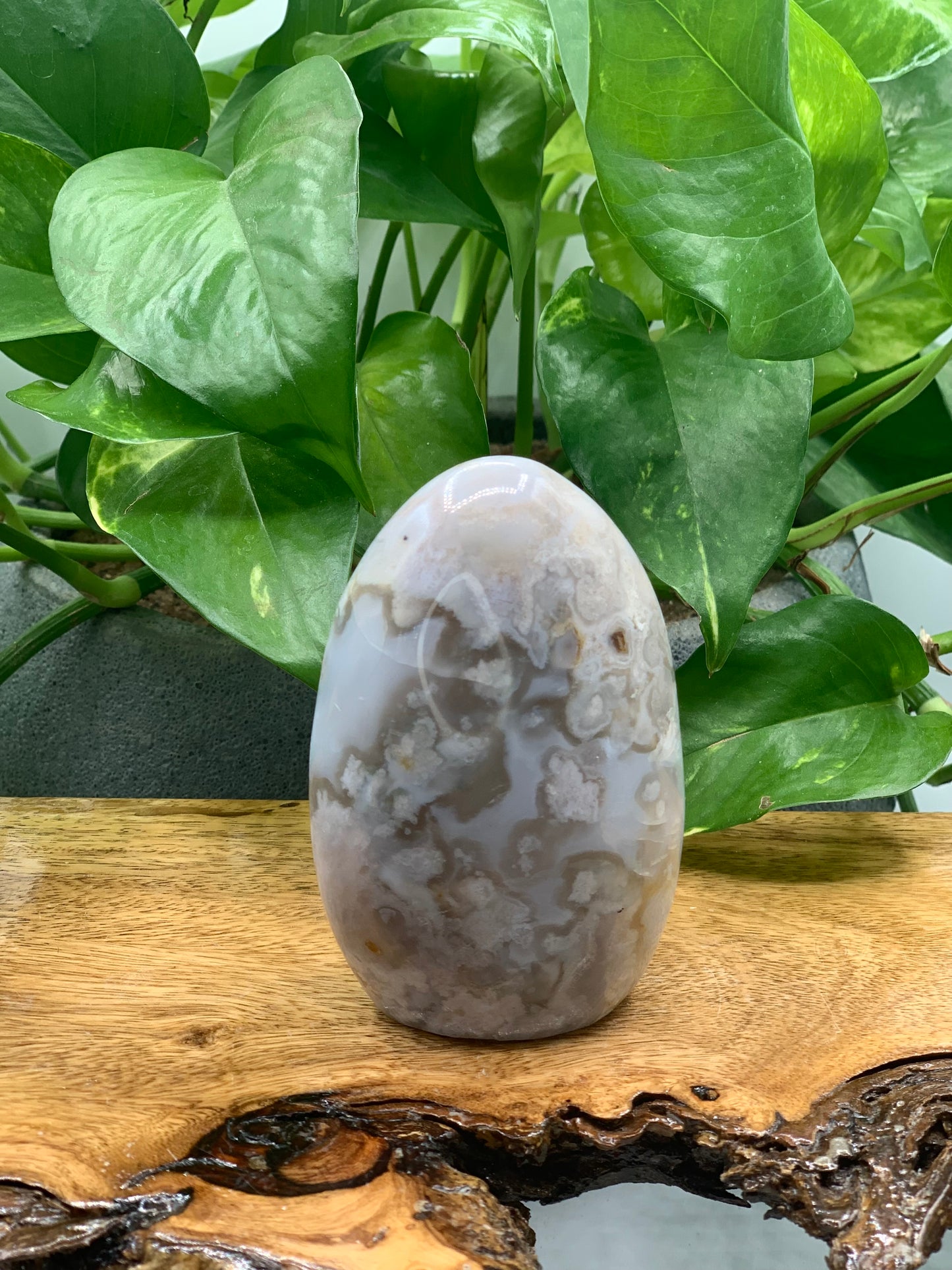 Flower Agate Free Form