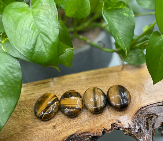 Tigers Eye Palm Stone