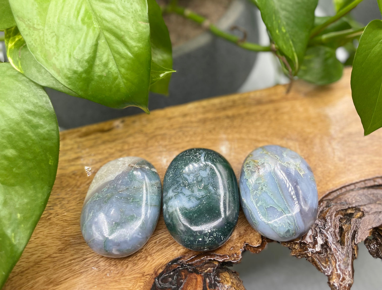 Moss Agate Palm Stone