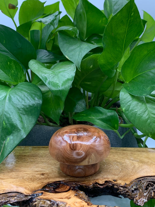 Handcrafted Wooden Mushroom - D