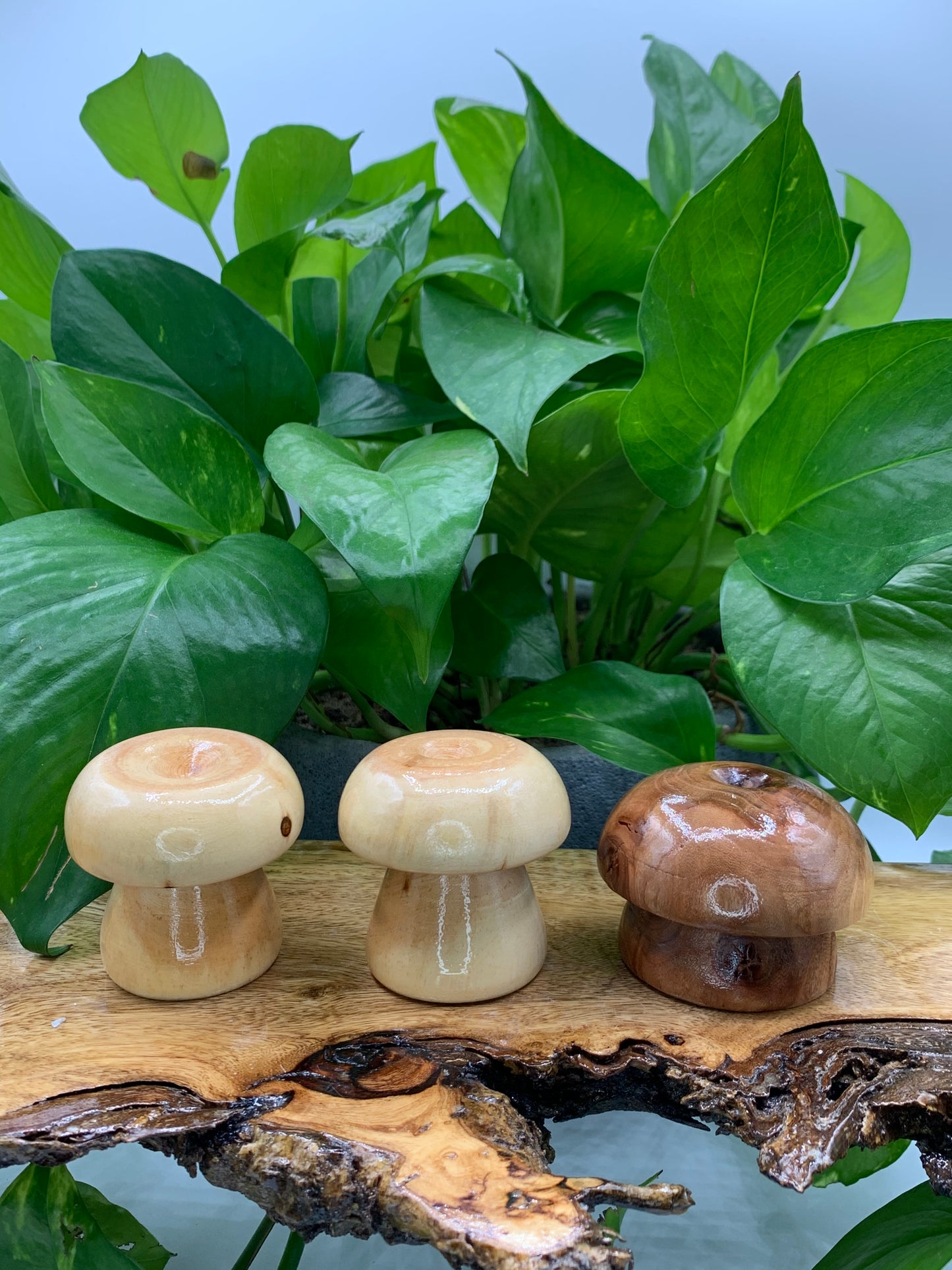 Wooden Mushroom Sphere Stand