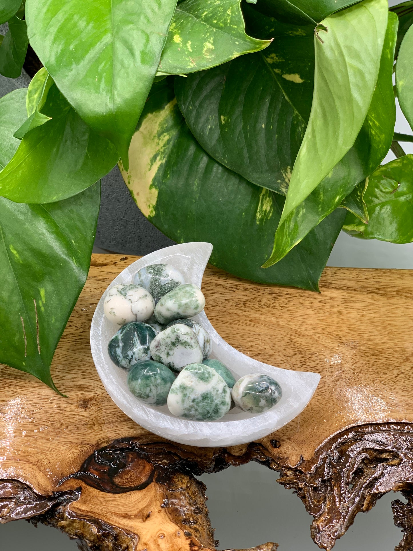 Moss Agate Tumble