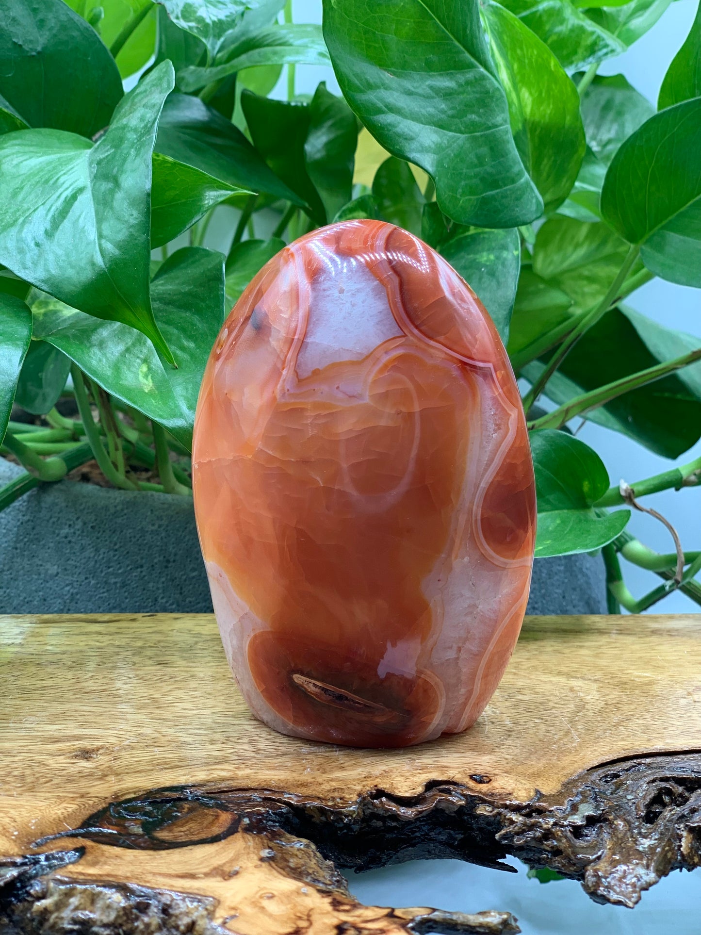 Carnelian Free Form