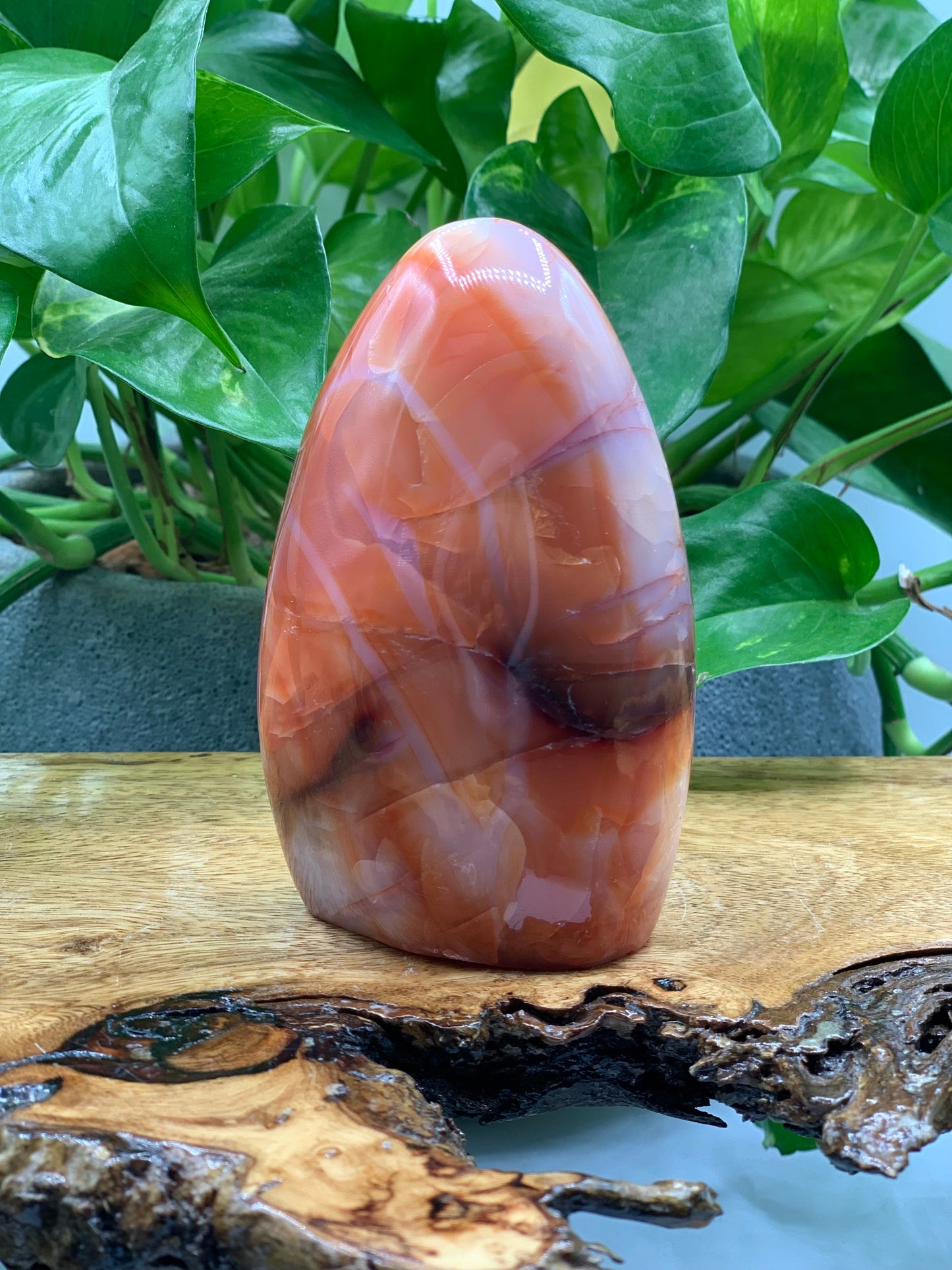 Carnelian Free Form