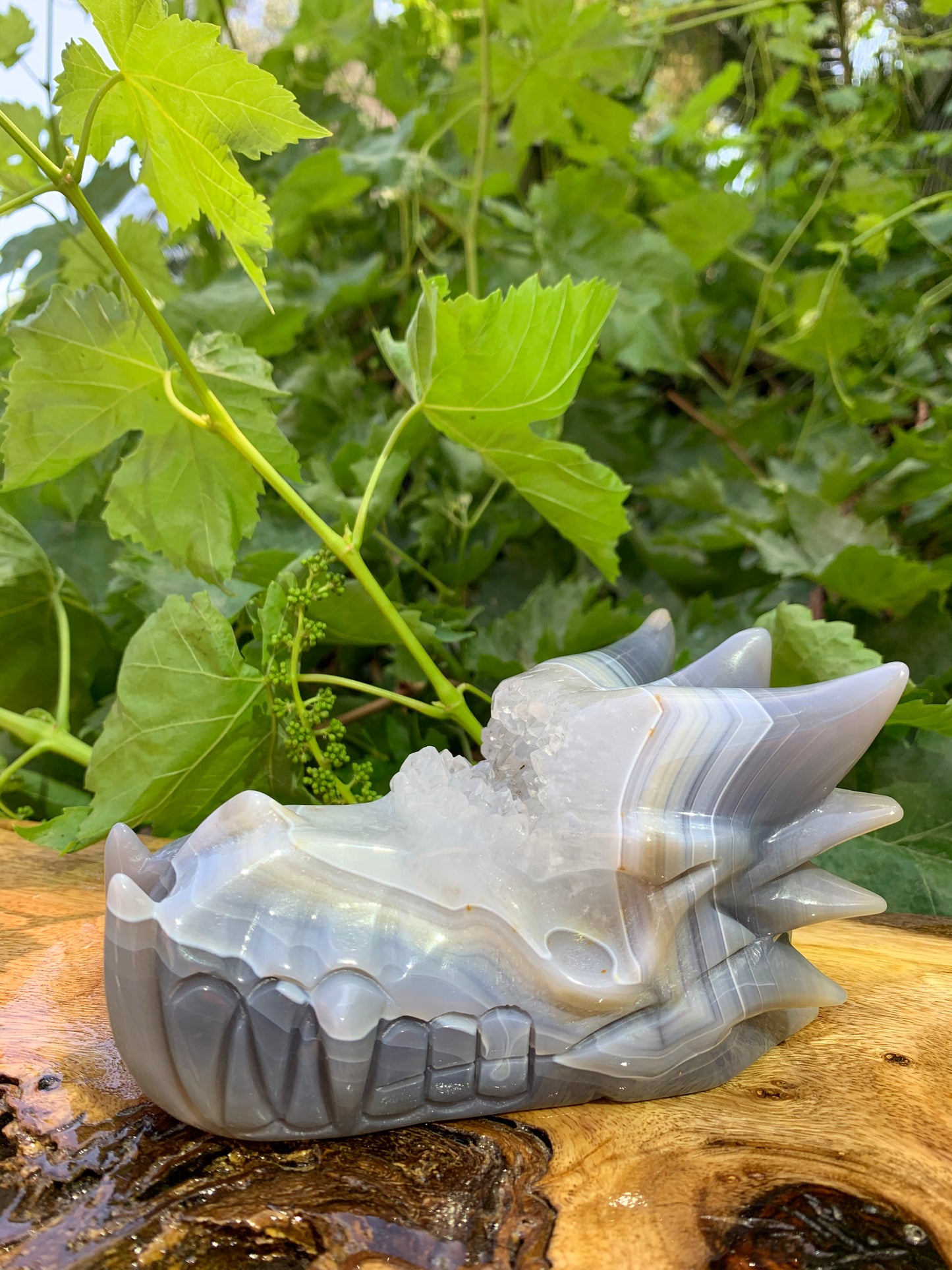 Dragon Carving Agate