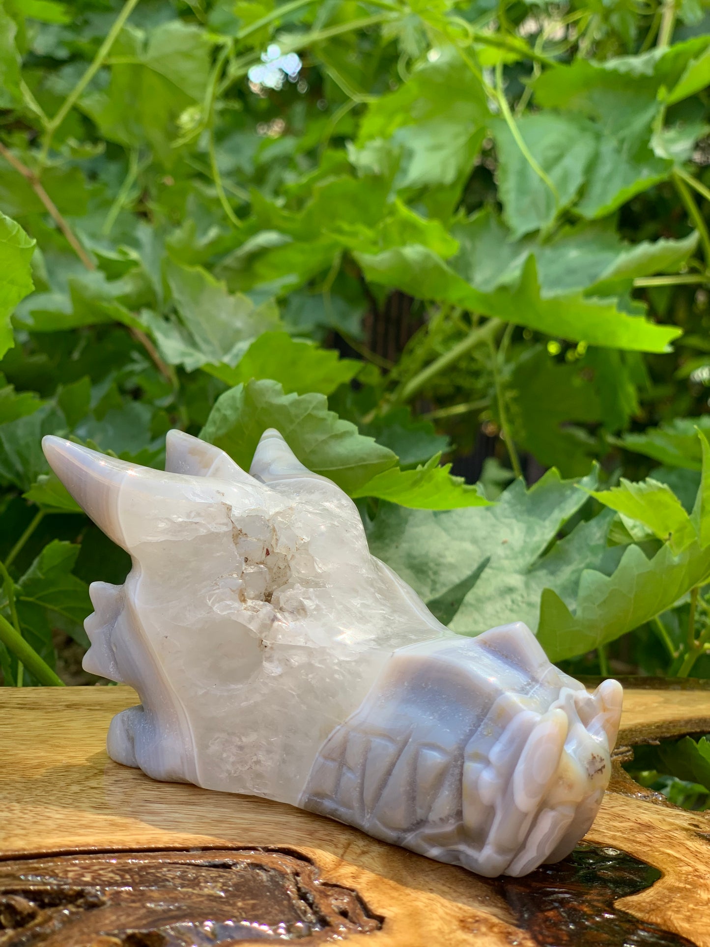 Dragon Carving Agate