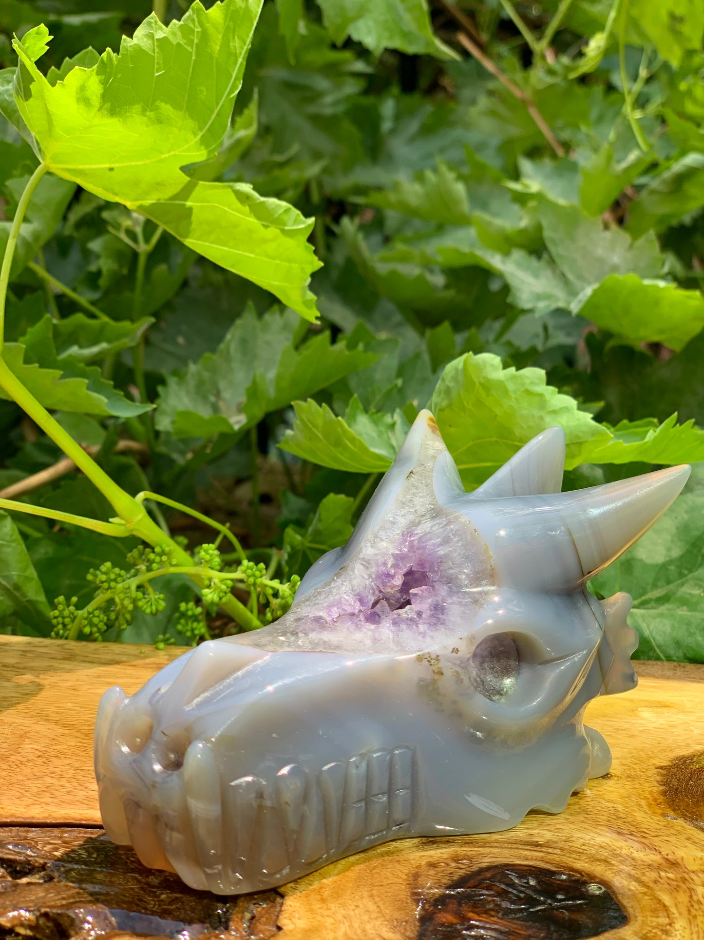 Dragon Carving Agate