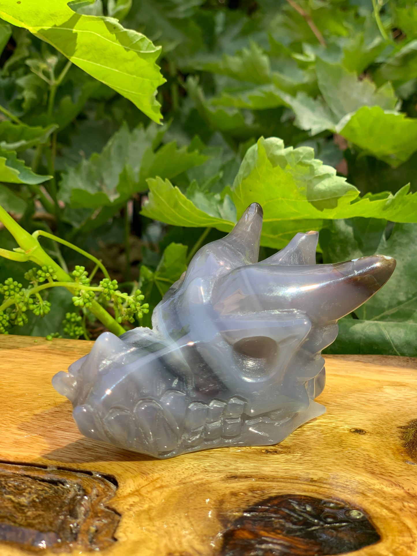 Dragon Carving Agate