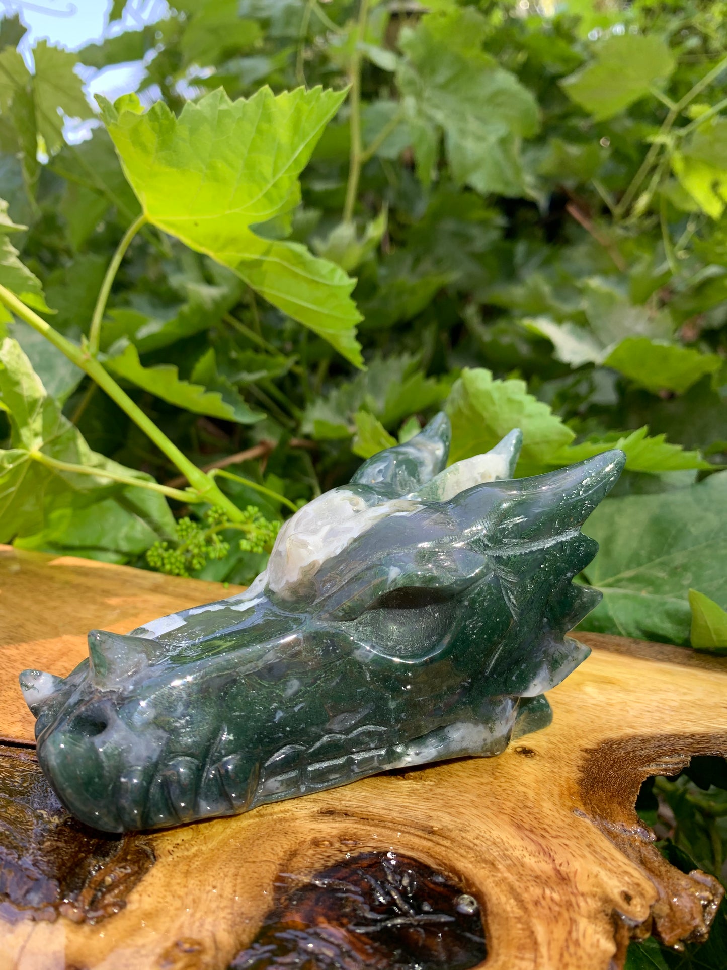 Dragon Carving Agate