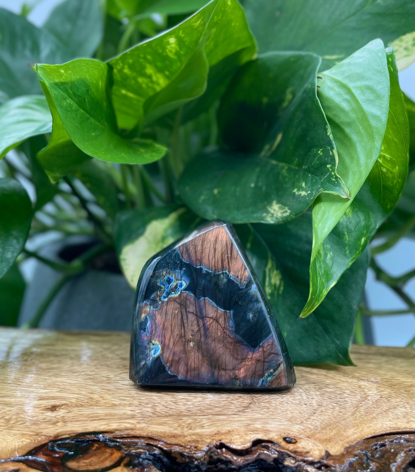 Labradorite Freeform